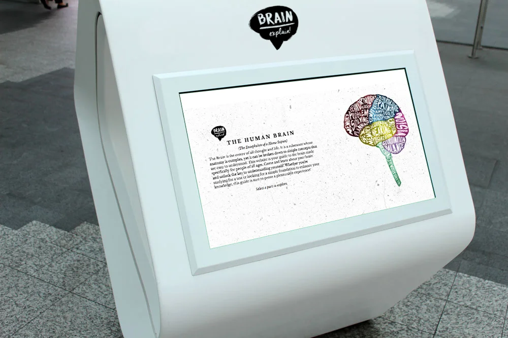 brain-explain-interactive-1.png