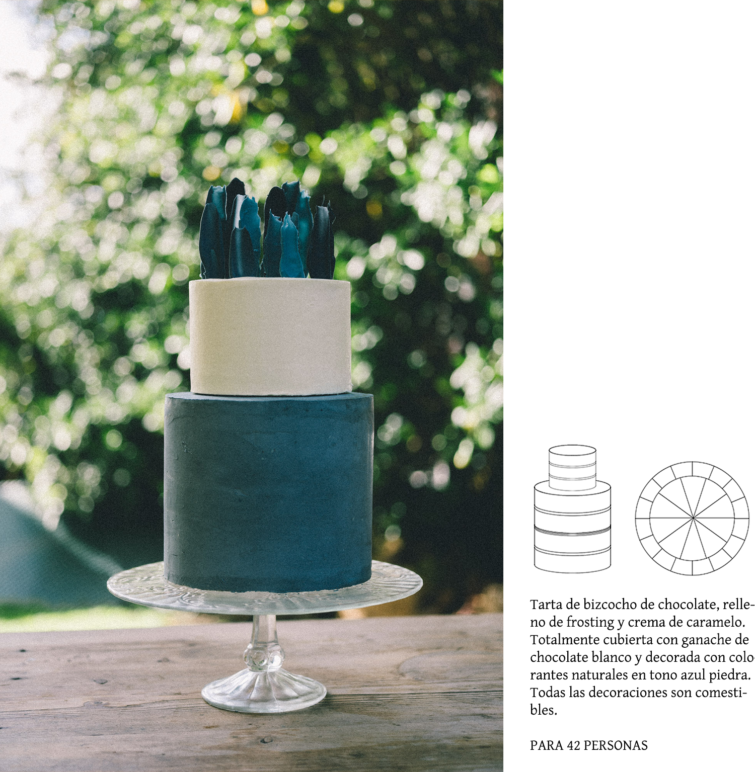 TARTA 2.png