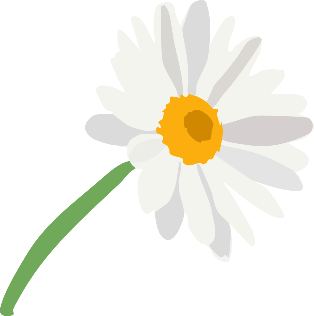 flower.png