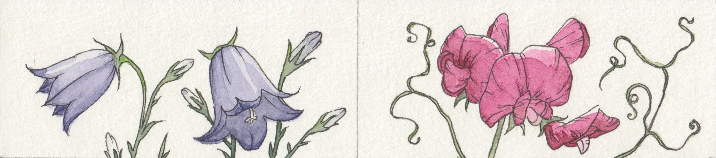 Flowers.jpeg