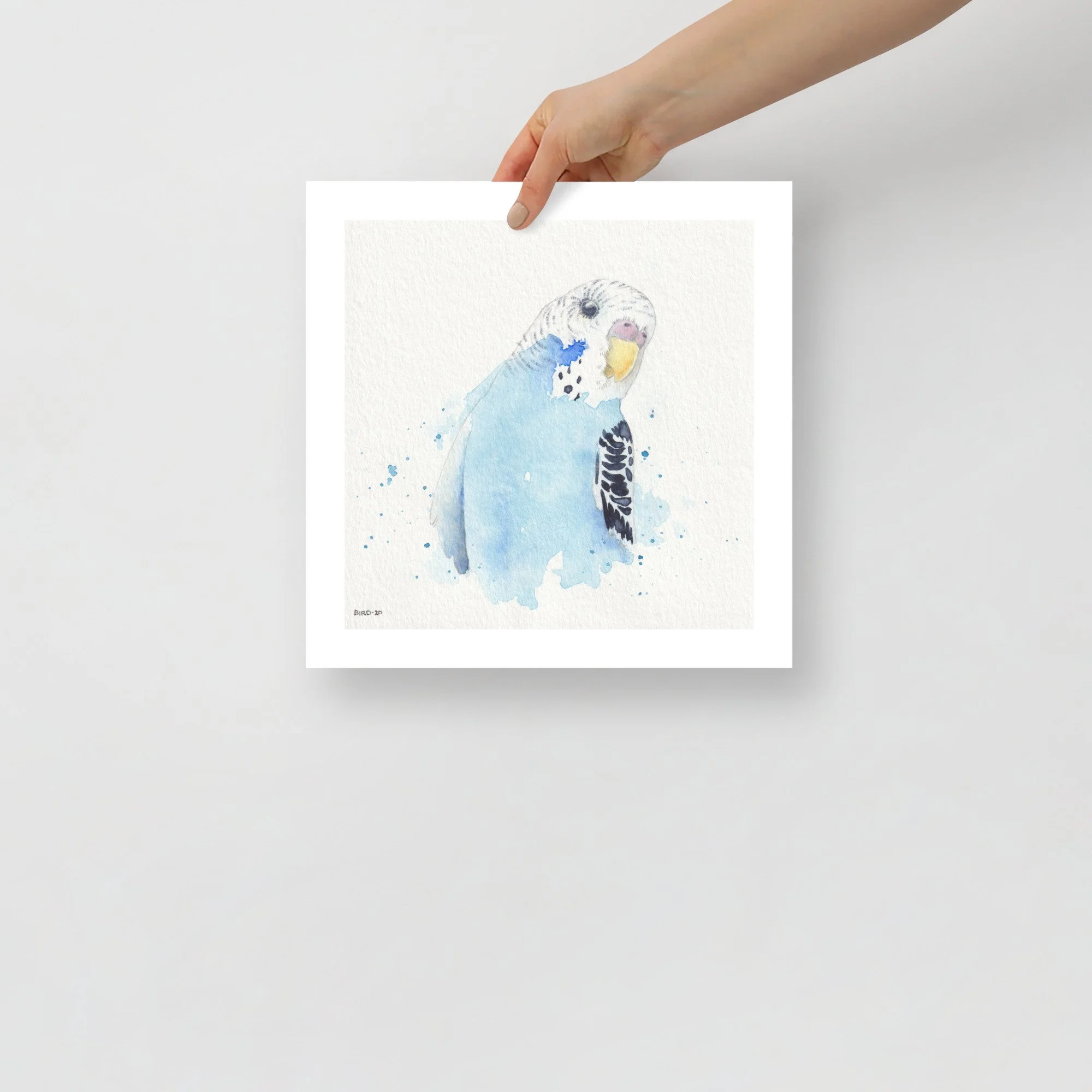 Blue Parakeet Print — BIRD | ARTIST & WRITER