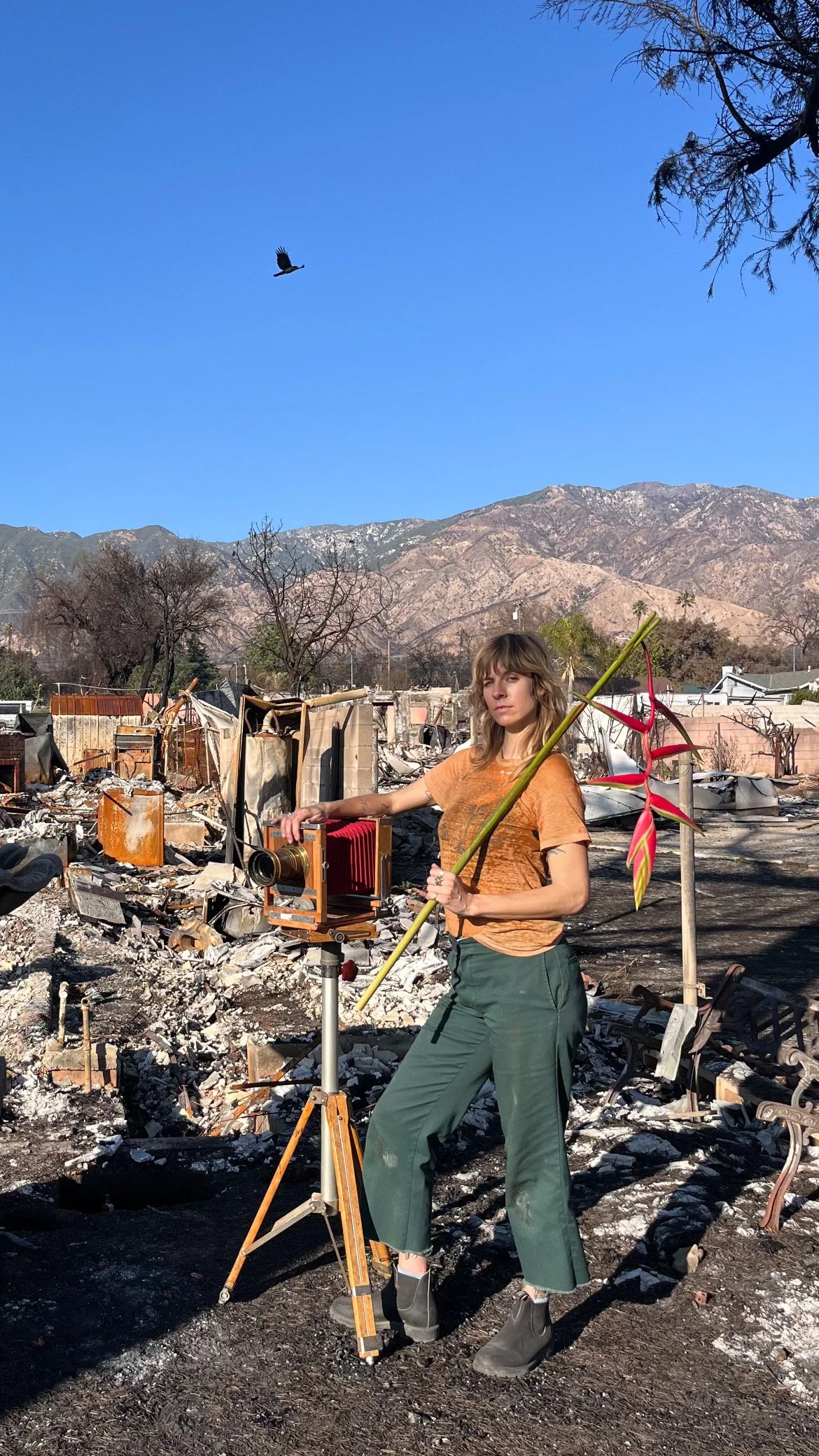 10FFC1A5-06FB-4265-824E-0DEE5F92F42B 2.JPG