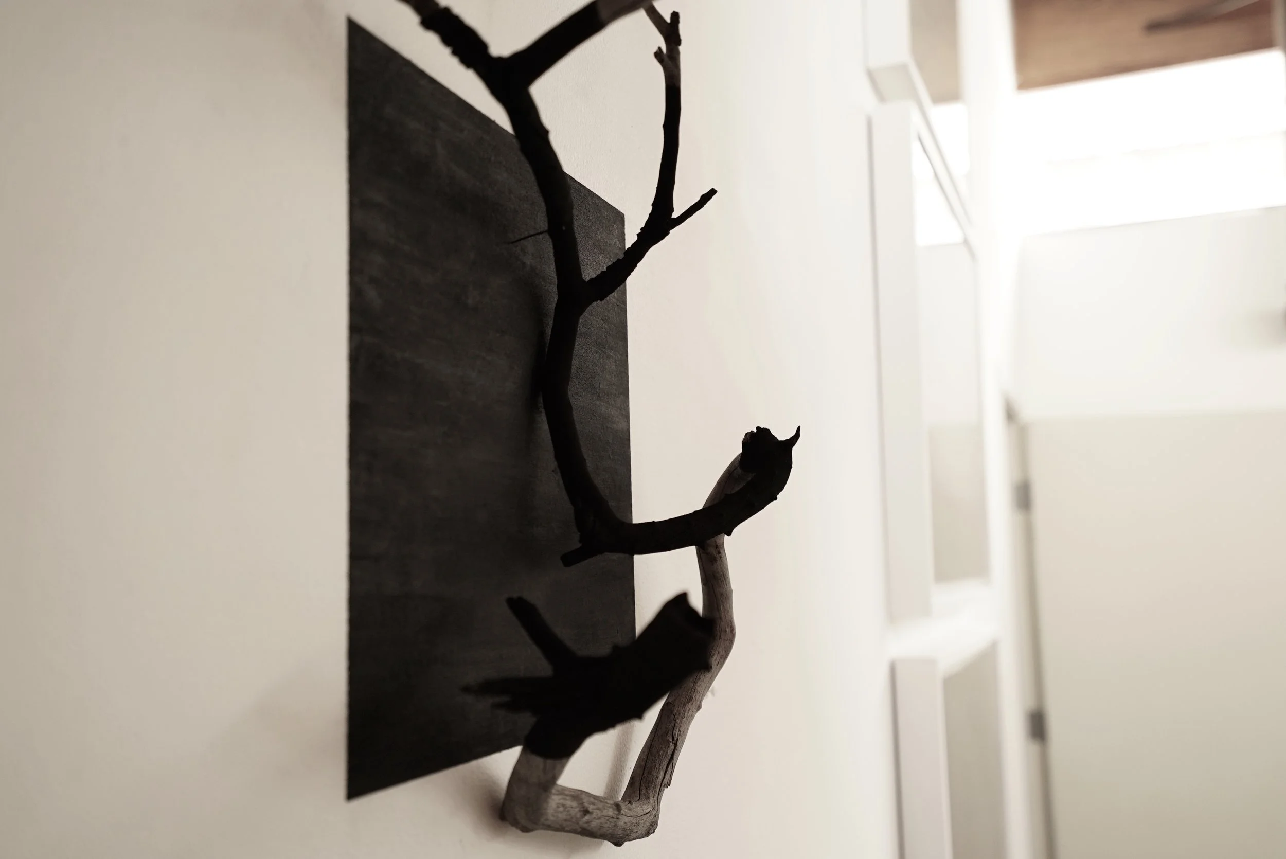 The Disappeared. Found Wild Fires Wood & Charcoal