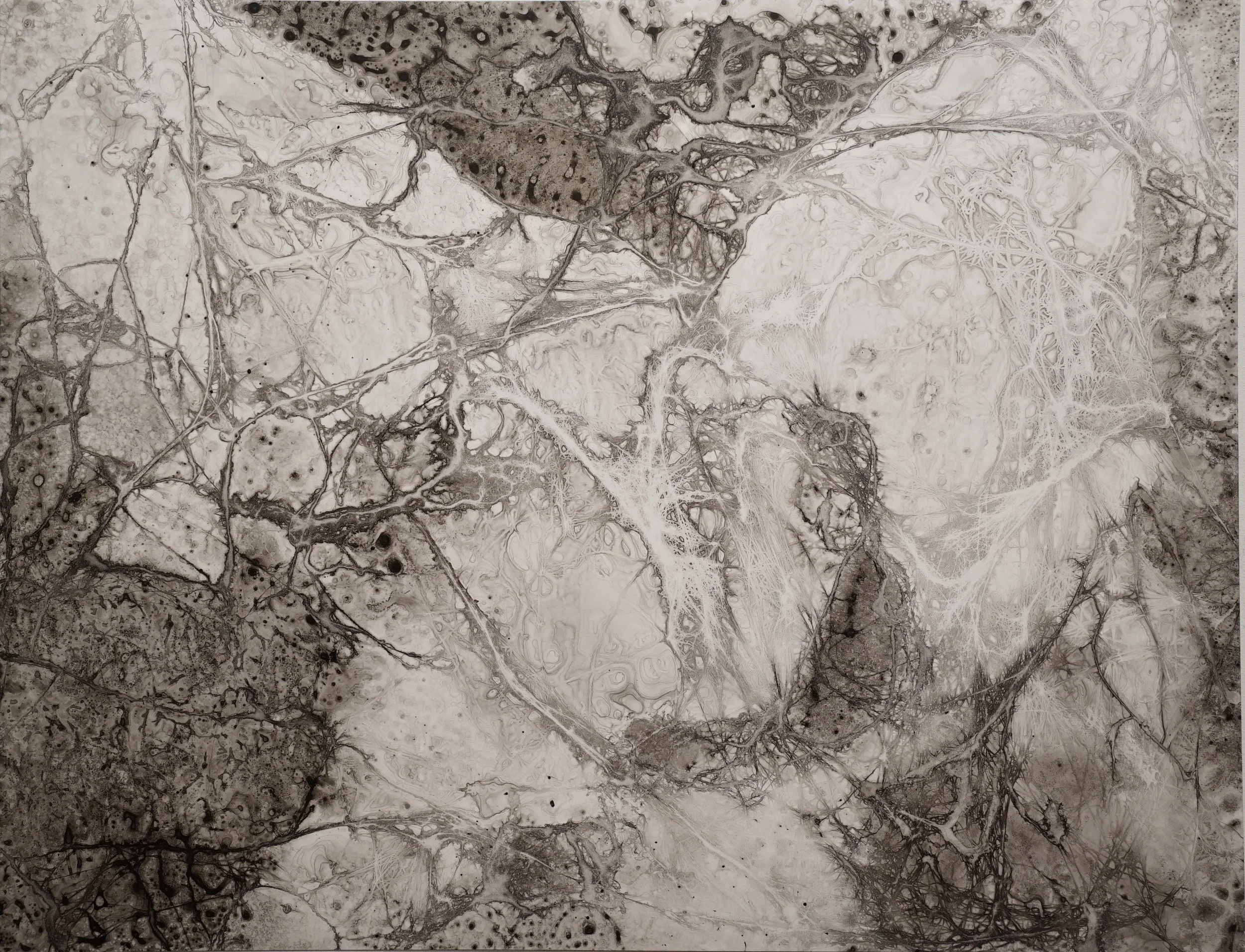 Cocoon #5 2018 20 x 26" Ink on paper