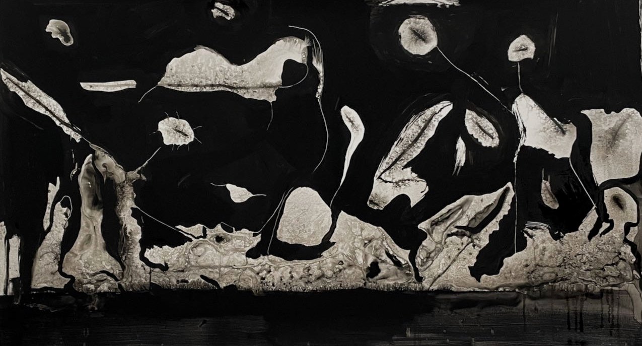 Solo Exhibition STRANDS