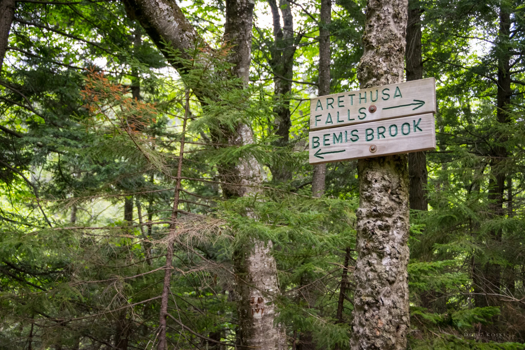 Arethusa Falls Hike