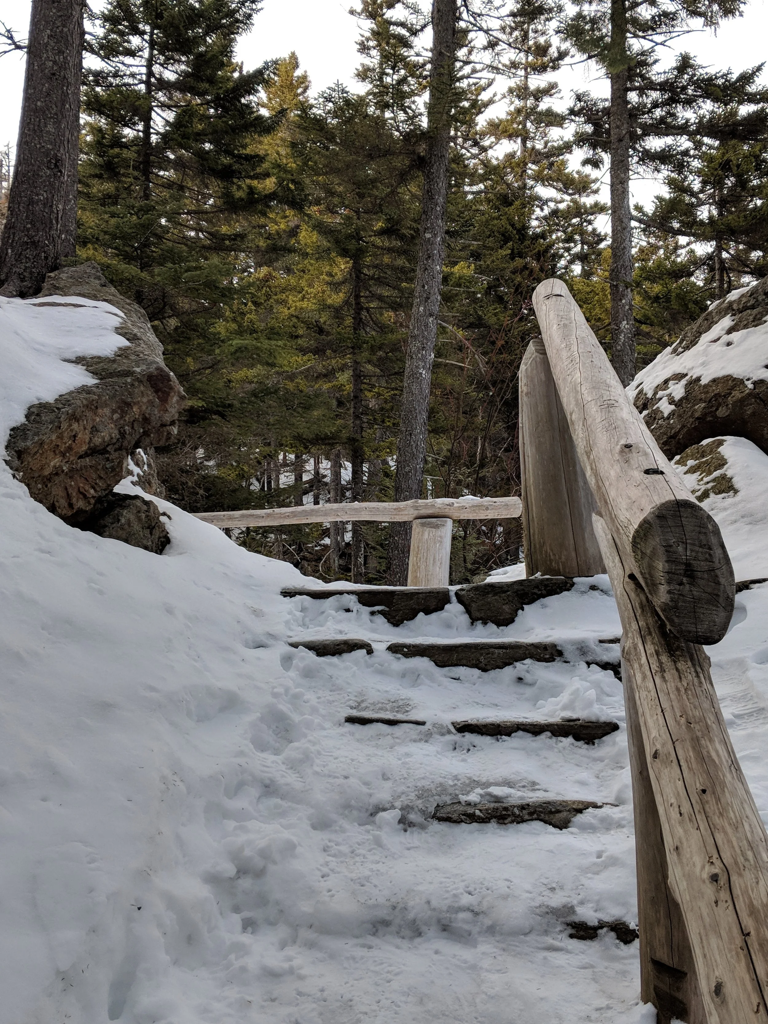 2018-04-08 17.19.56.jpg