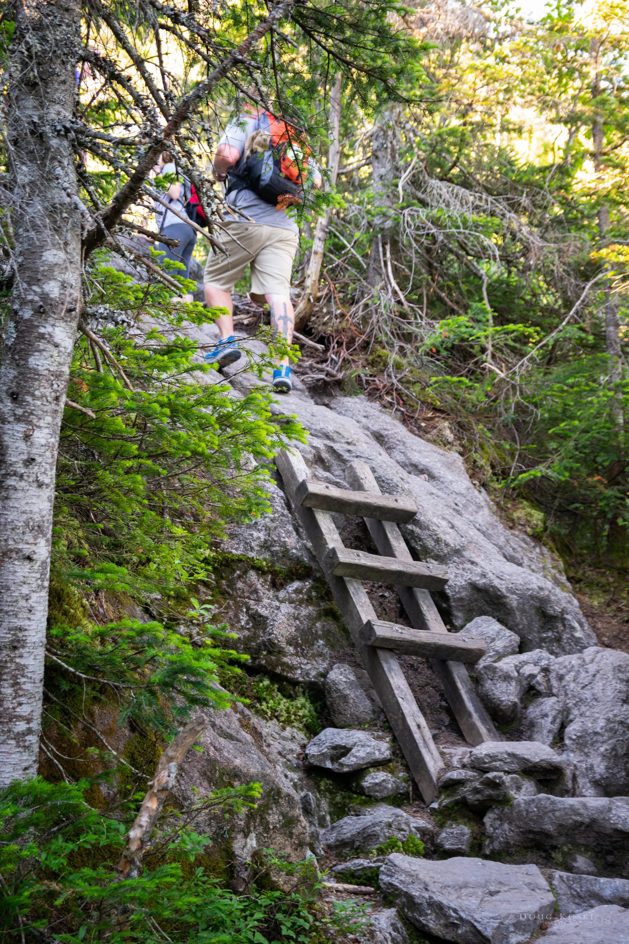 _DSC1682.jpg