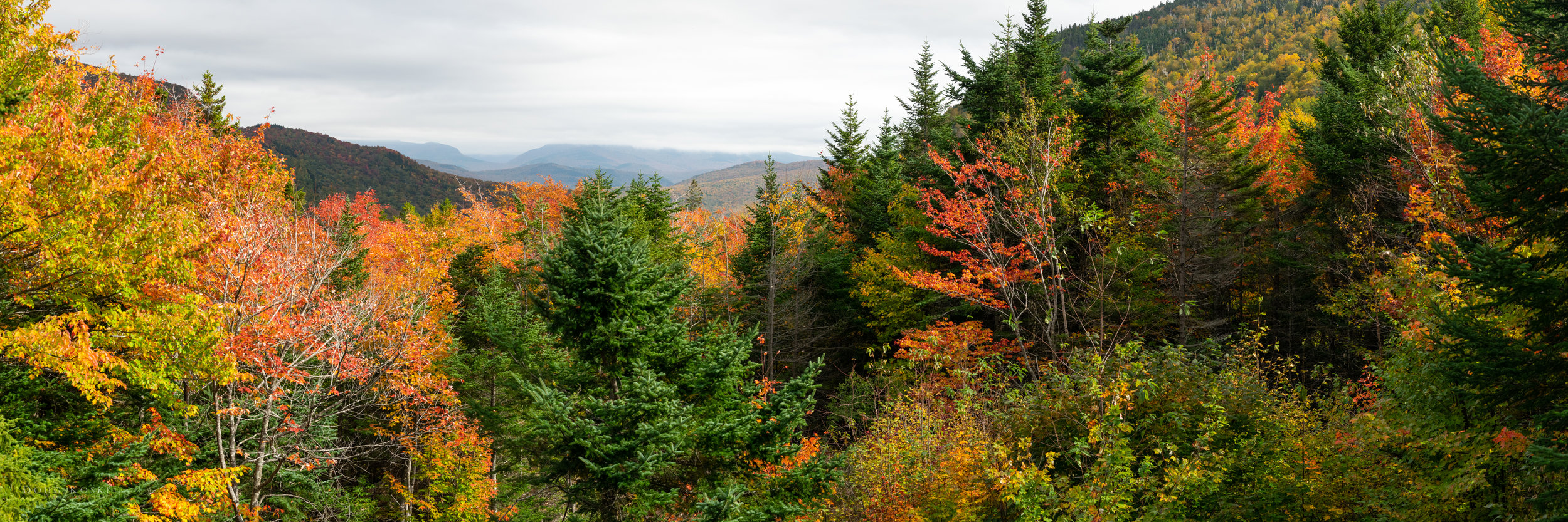 _DSC3908-Pano.jpg