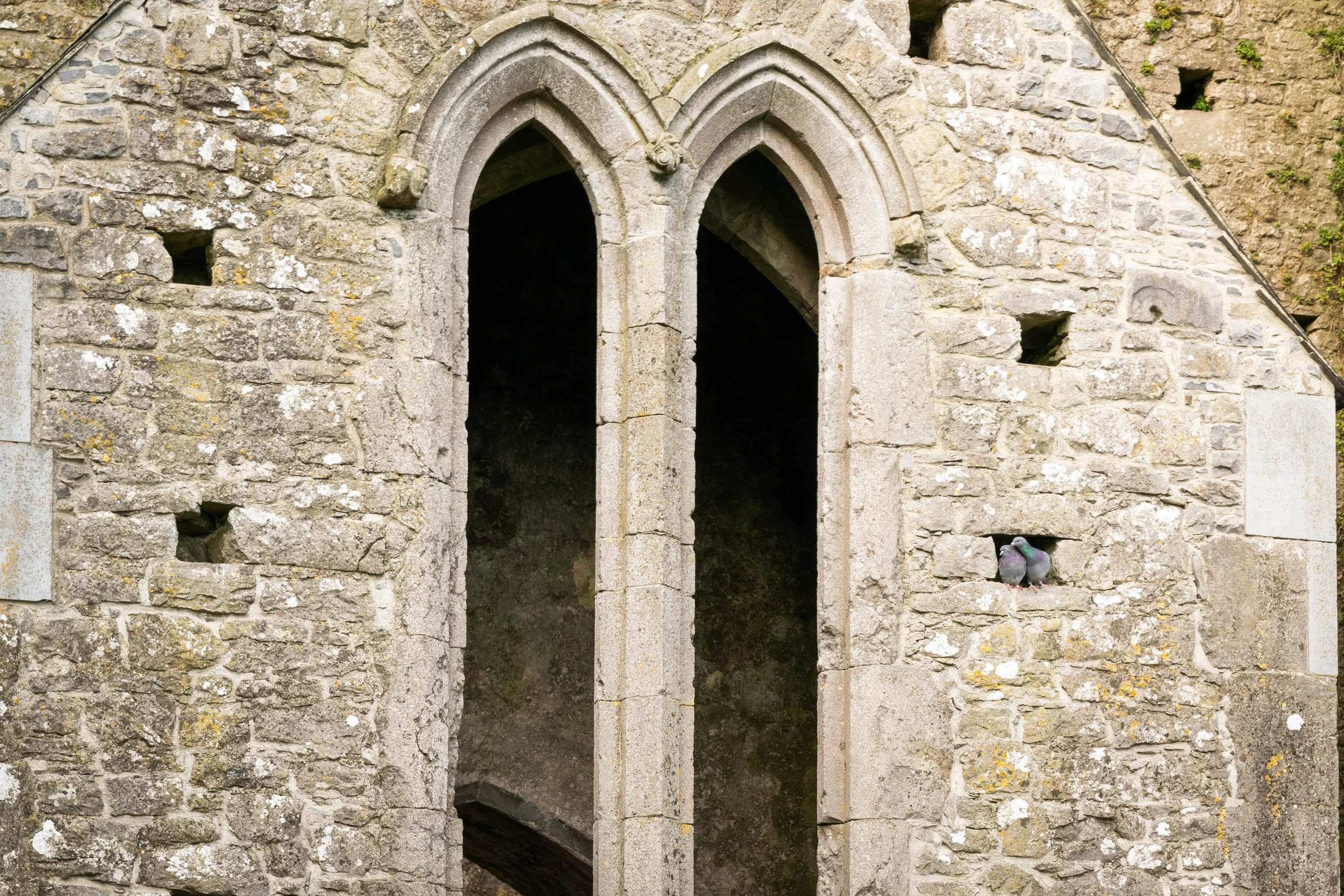 _DSC7359.jpg