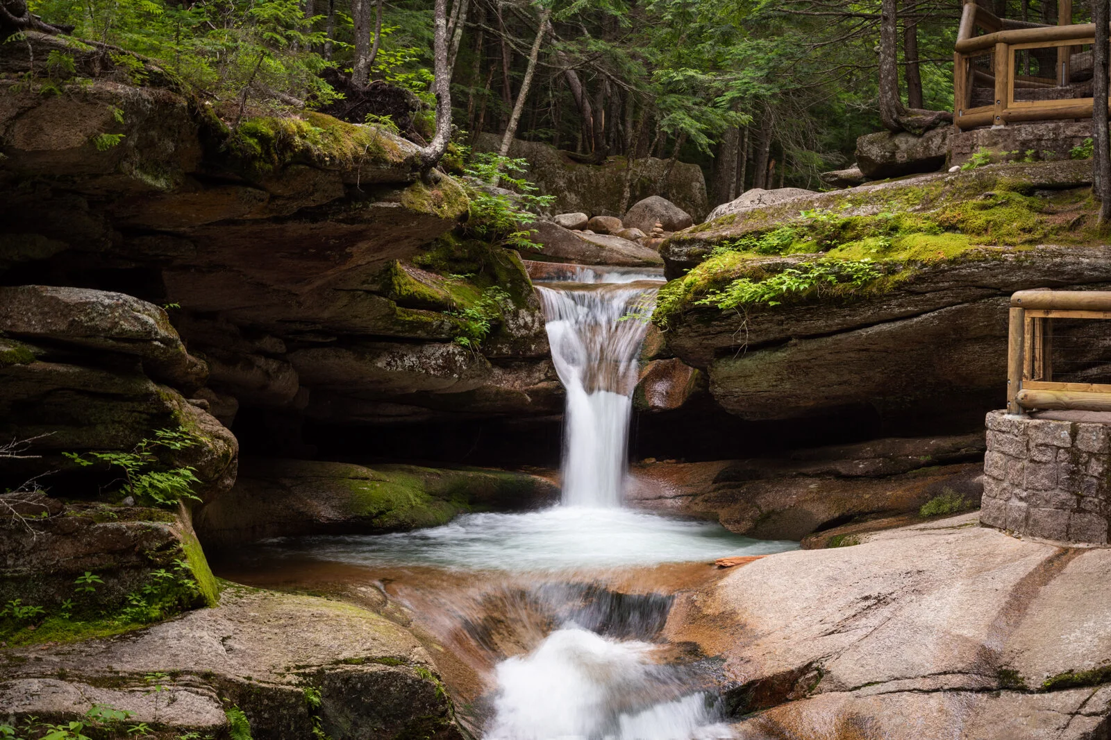 A Summer's Reprieve in the Mountains