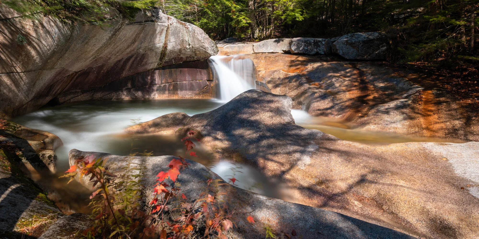 _DSC1017-Edit.jpg