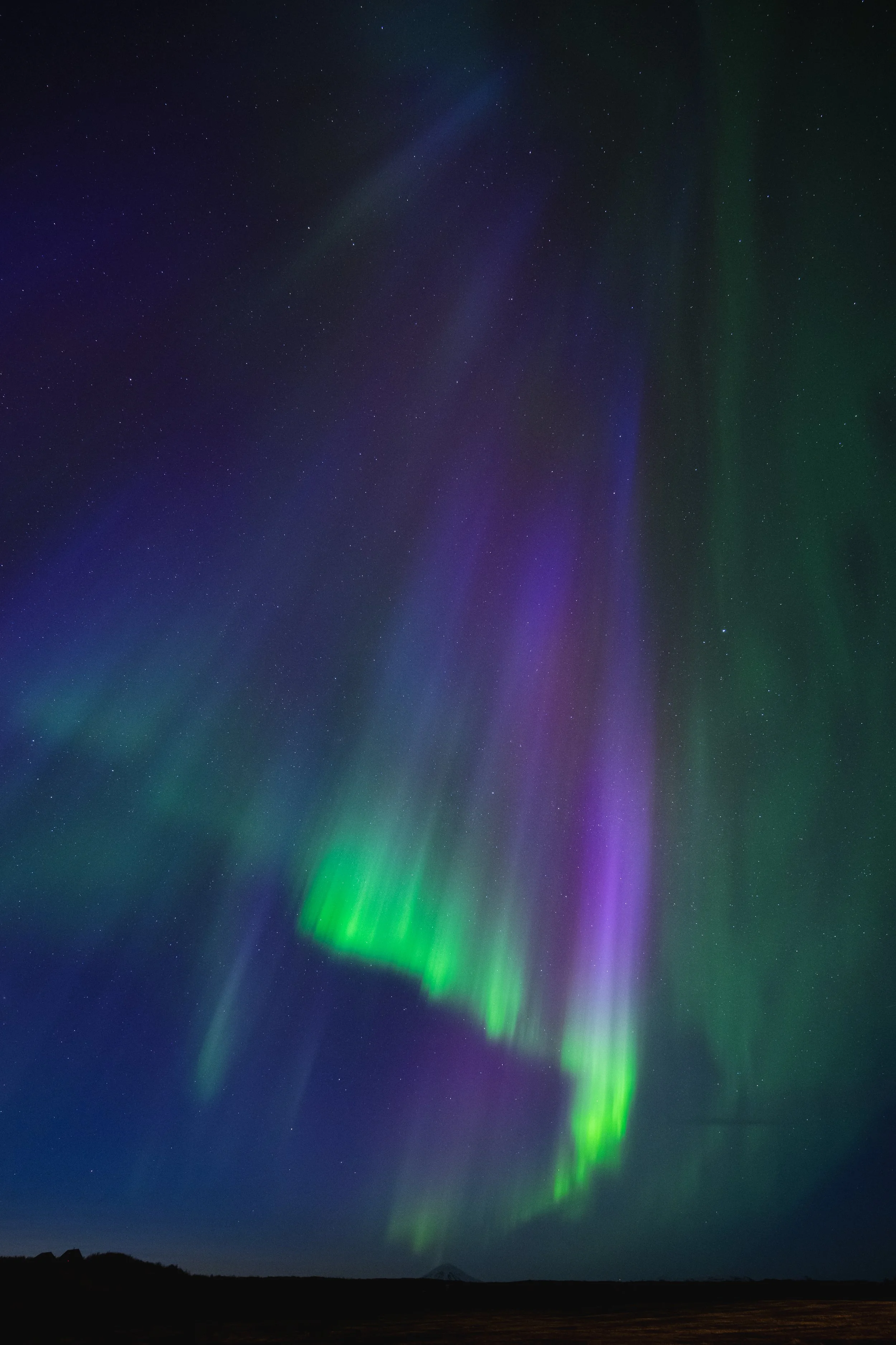 _DSC4186.jpg
