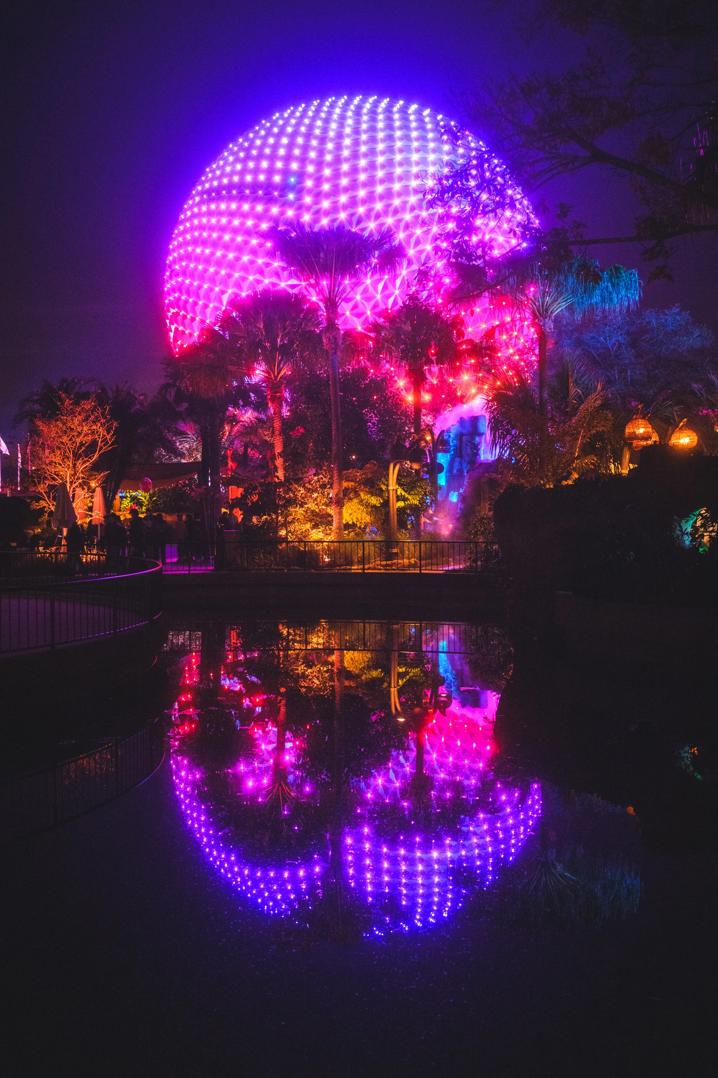 _DSF7880.jpg