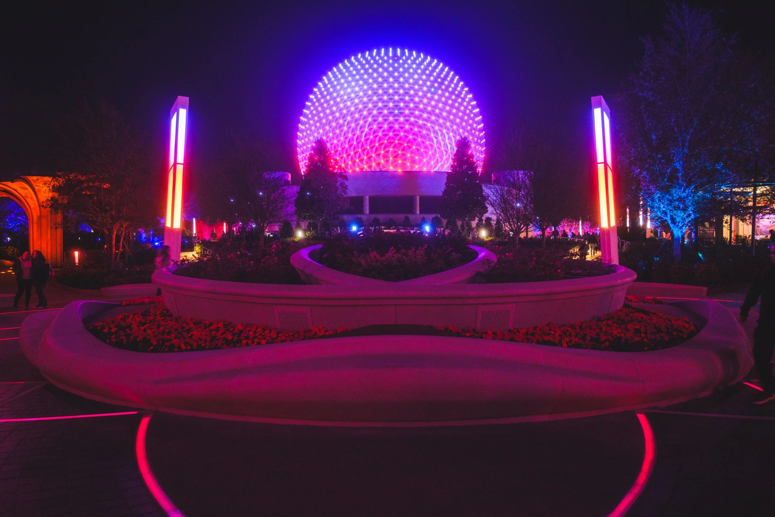 _DSF7942.jpg