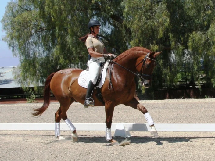 Monterey-at-Spirit-Equestrian-014-705x528.jpg