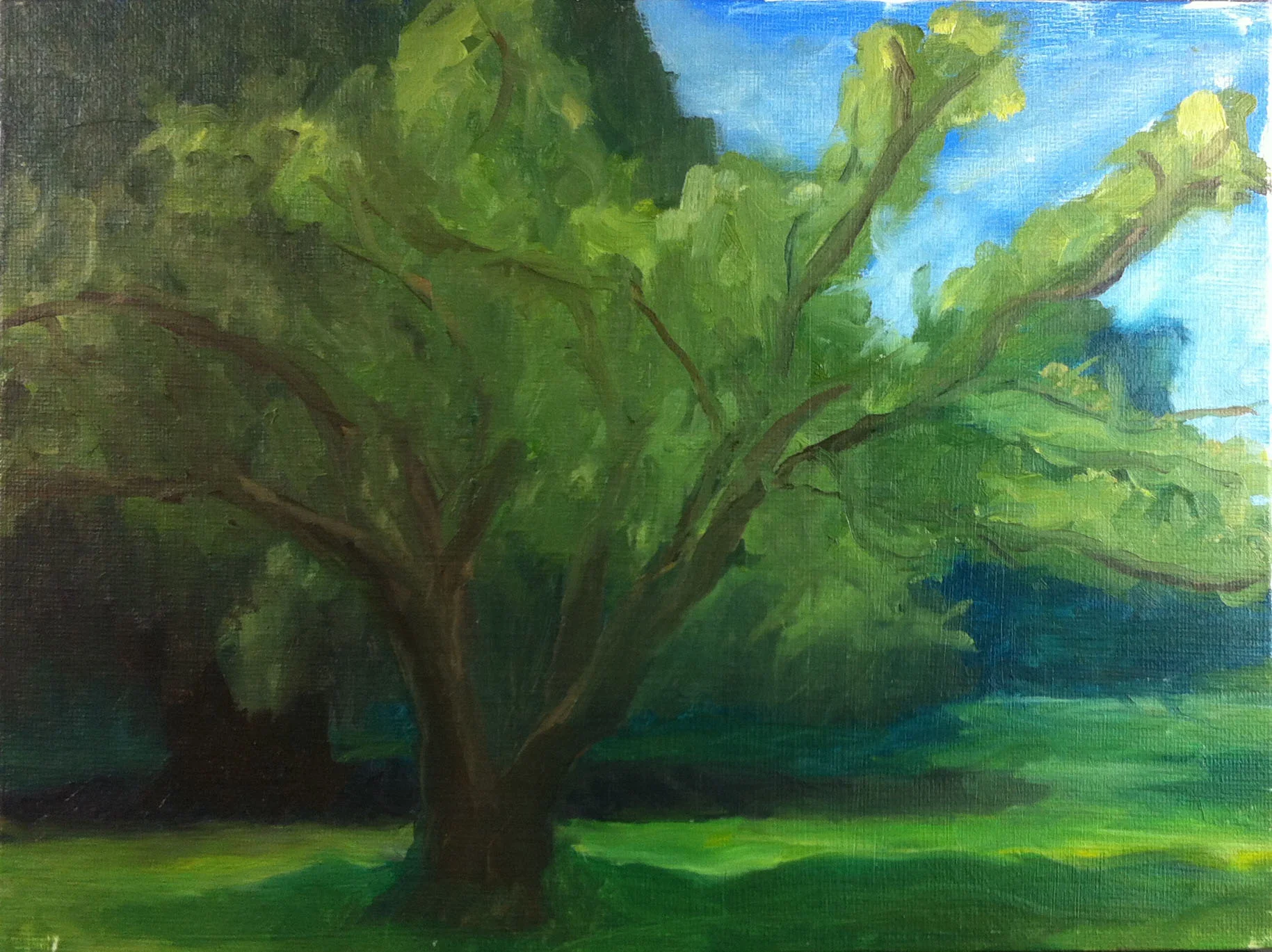 tree