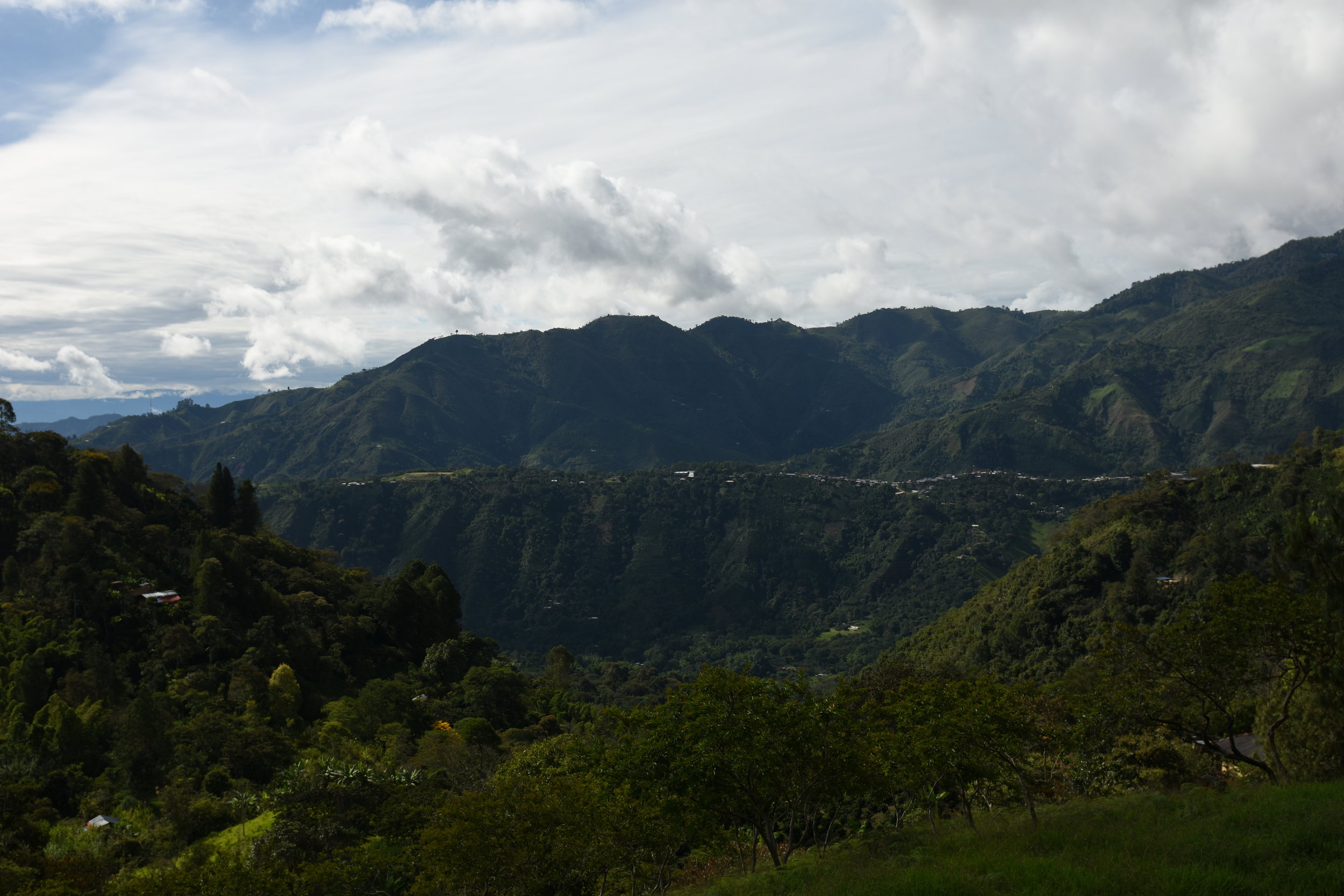 store.colombia cauca.jpg