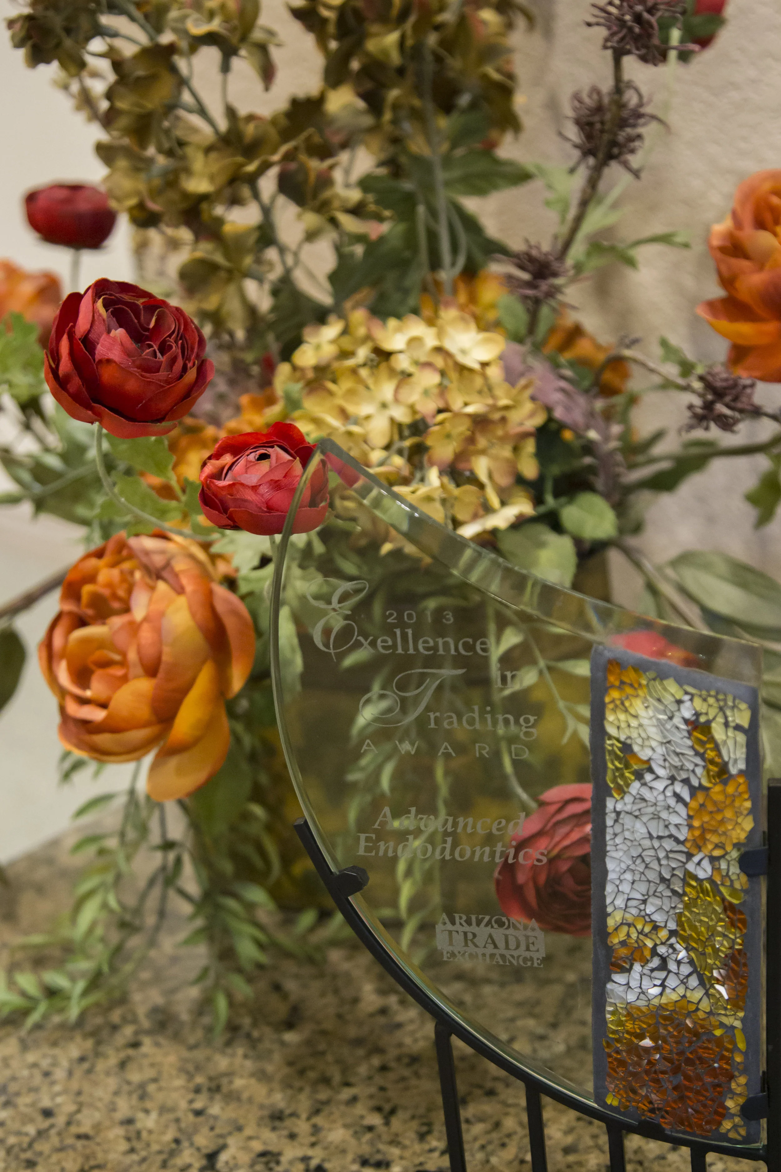 Advanced Endodontics Office-Jessica Bowles-4848.JPG