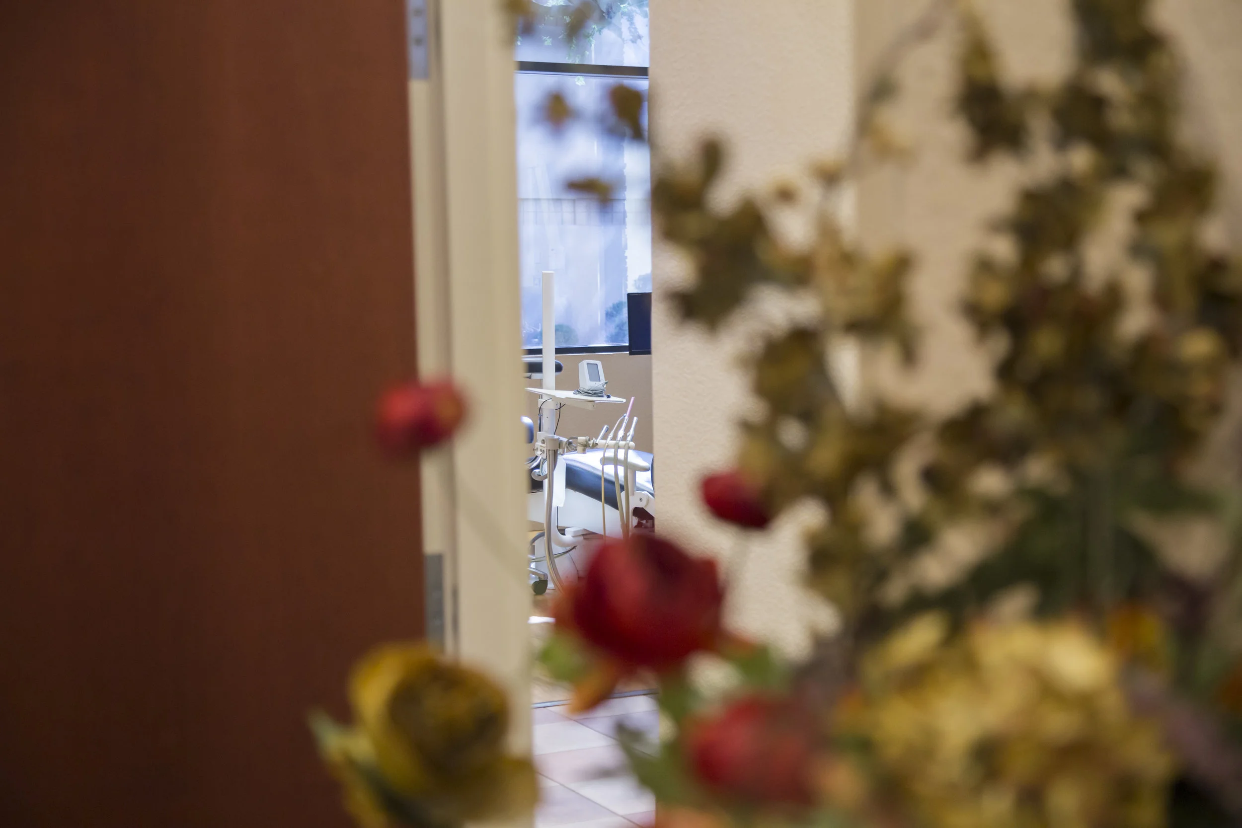 Advanced Endodontics Office-Jessica Bowles-4851.JPG