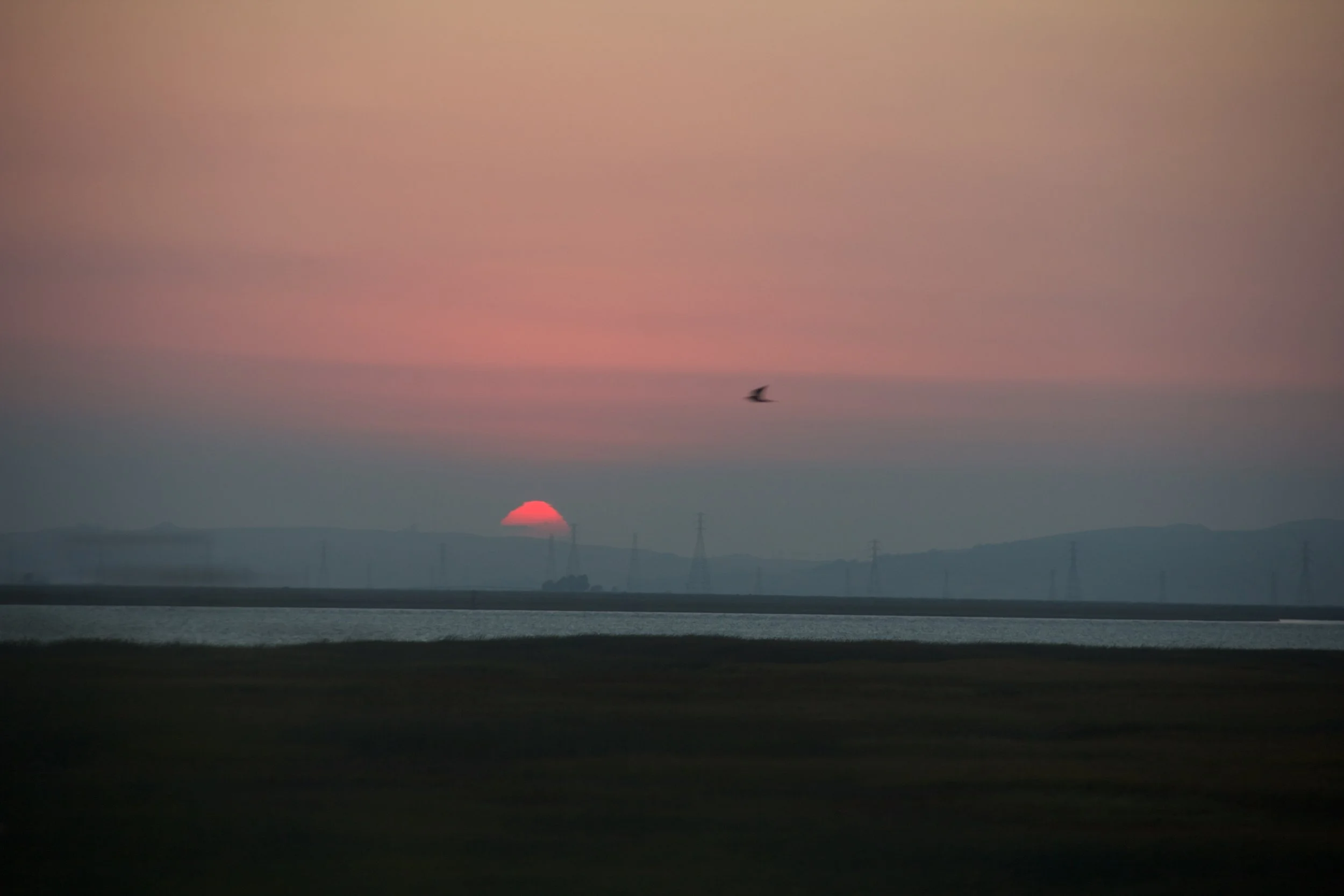 _MG_1037.jpg