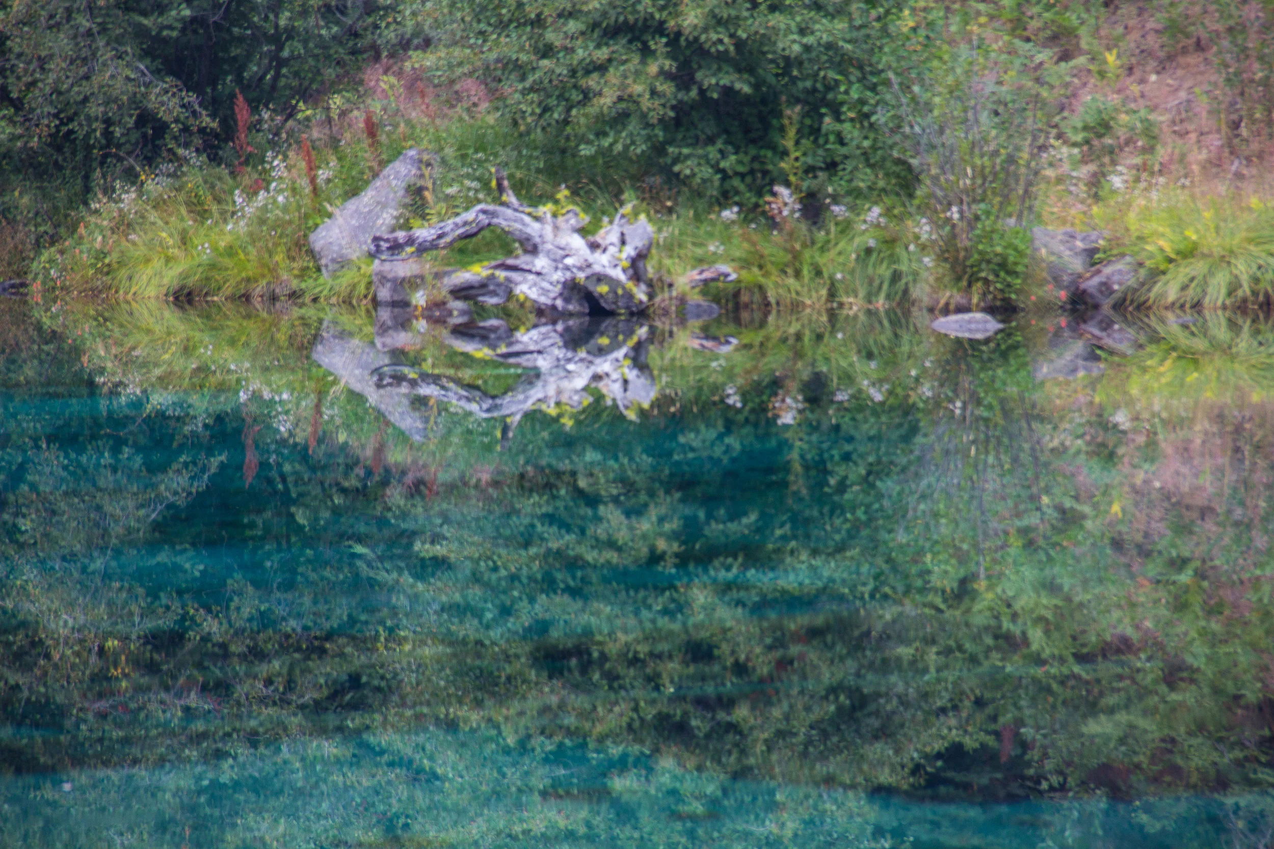 Team - For Print-2.jpg