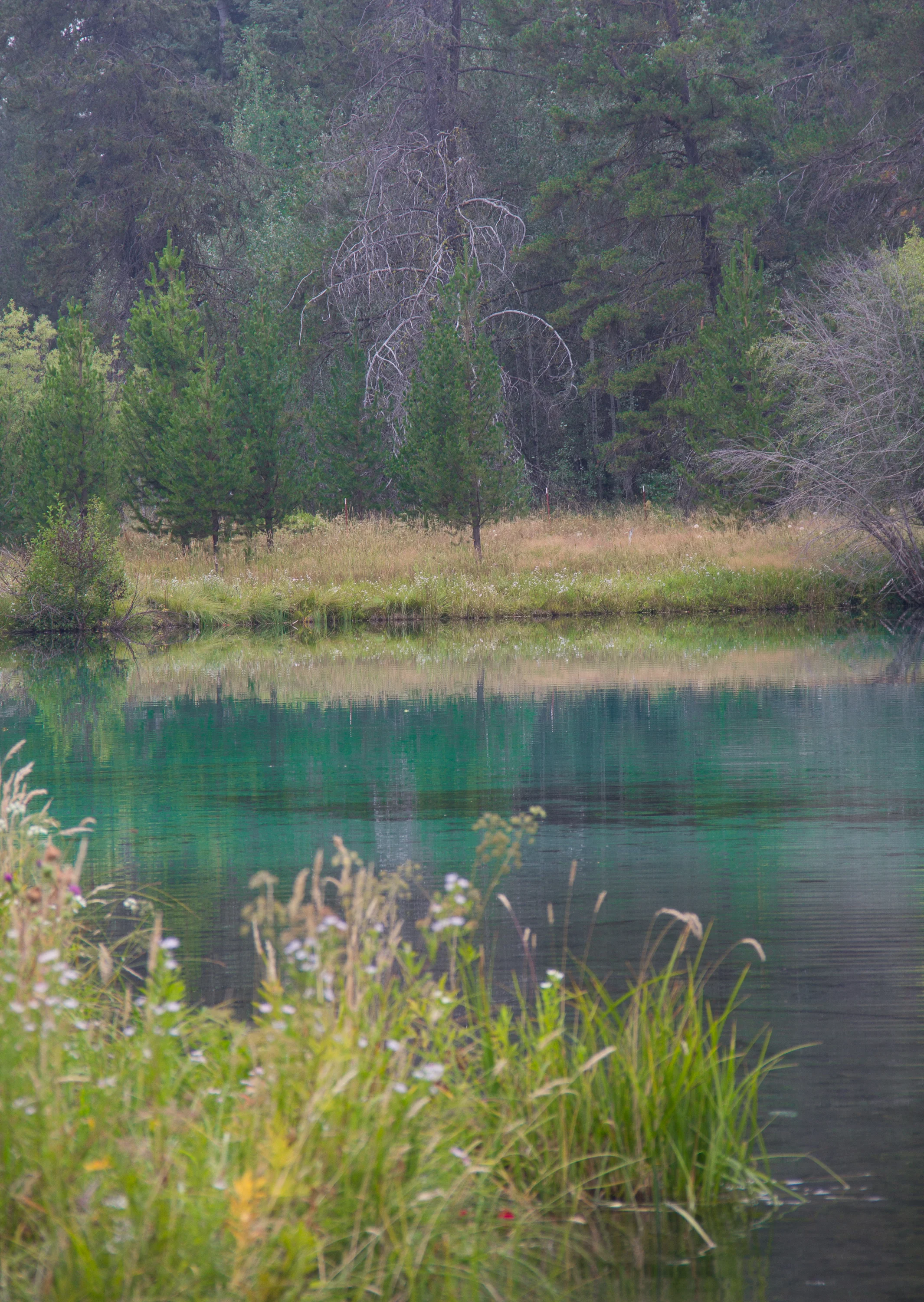 Team - For Print-6.jpg