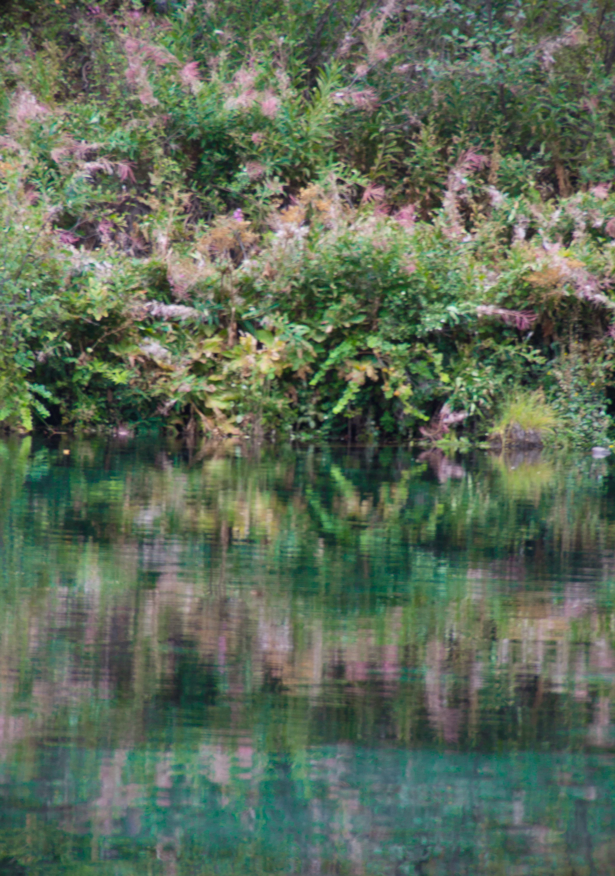 Team - For Print-7.jpg