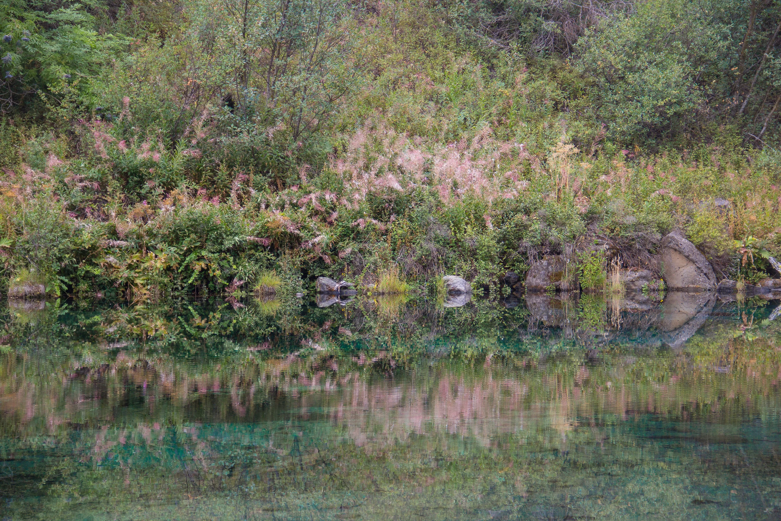 Team - For Print-10.jpg