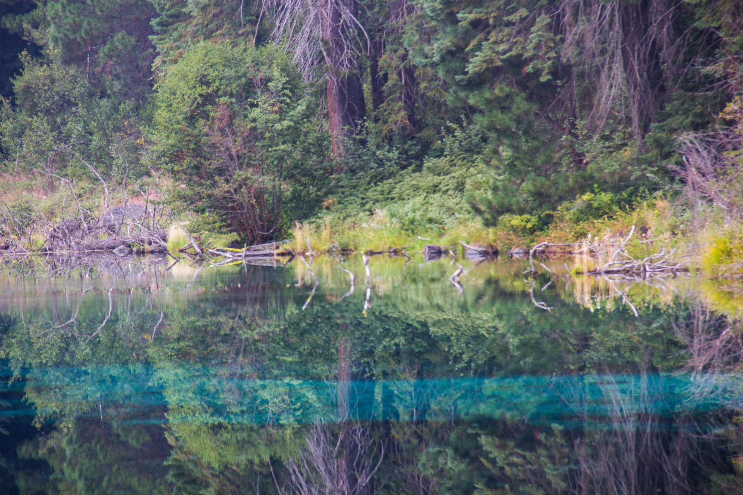 Team - For Print.jpg