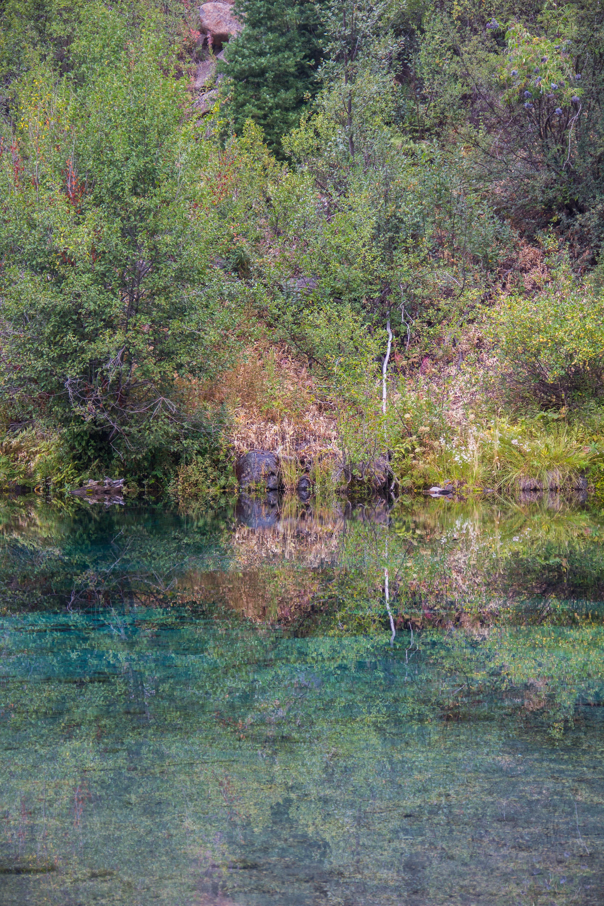 Team - For Print-11.jpg