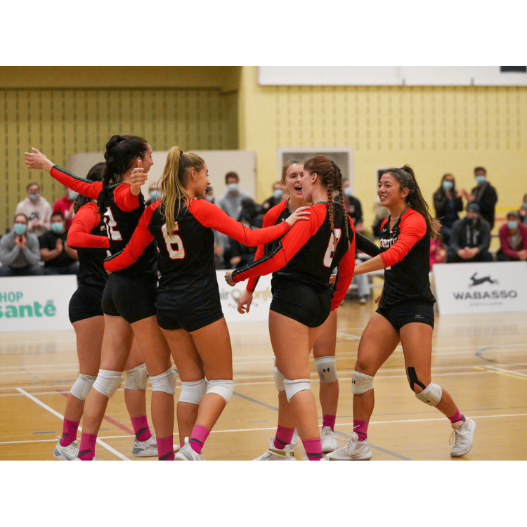 chandail volleyball manches longues quebec.png