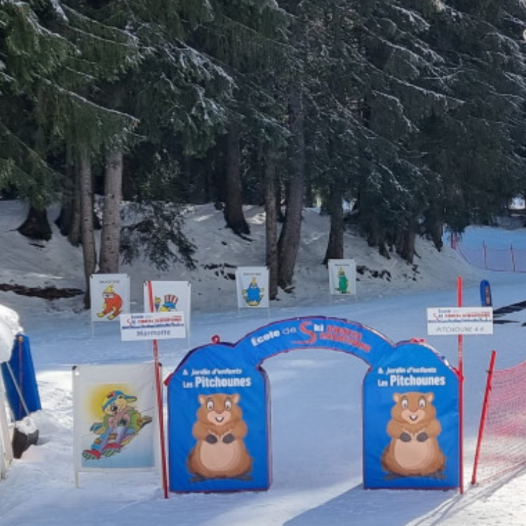 Mini banniere ski Quebec Securi-Sport.png
