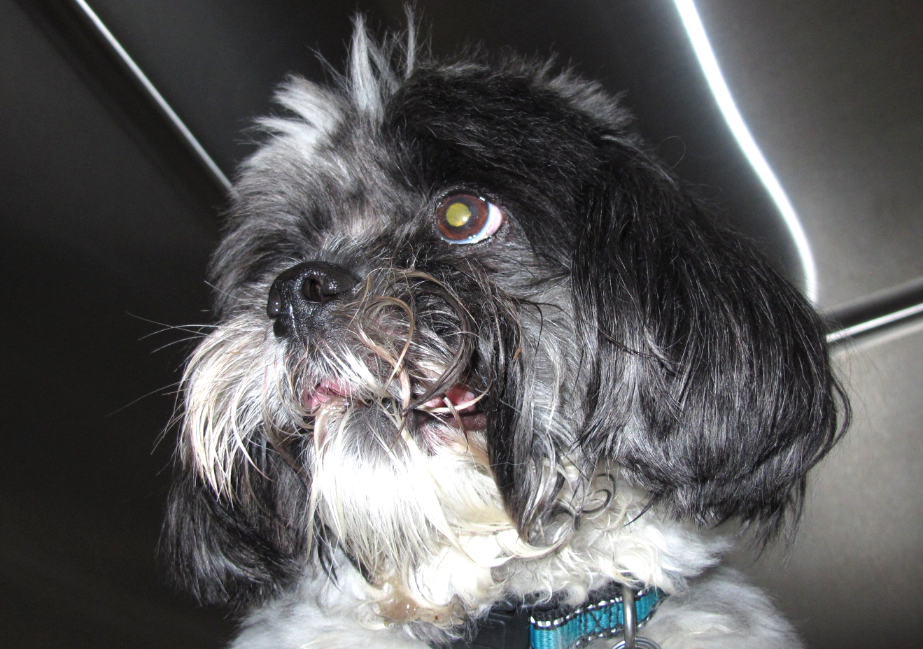 1 Day Postoperative