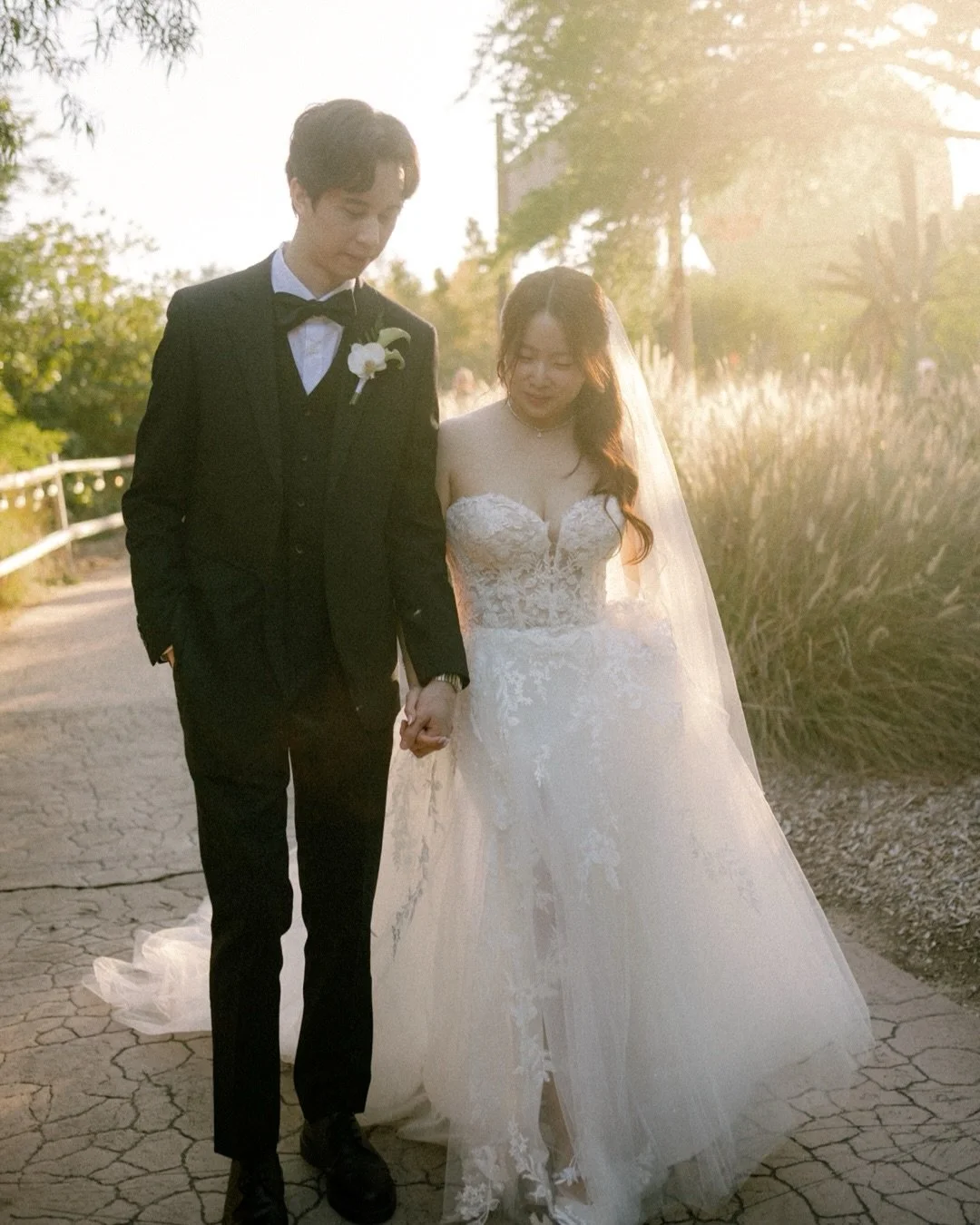 The most magical wedding and location and couple and team. ✨ It was such a gift to capture the day for Somin + Jonathan at the San Diego Safari park where animals get to roam as they wish and enjoy so much beautiful open land and space. So lucky to h