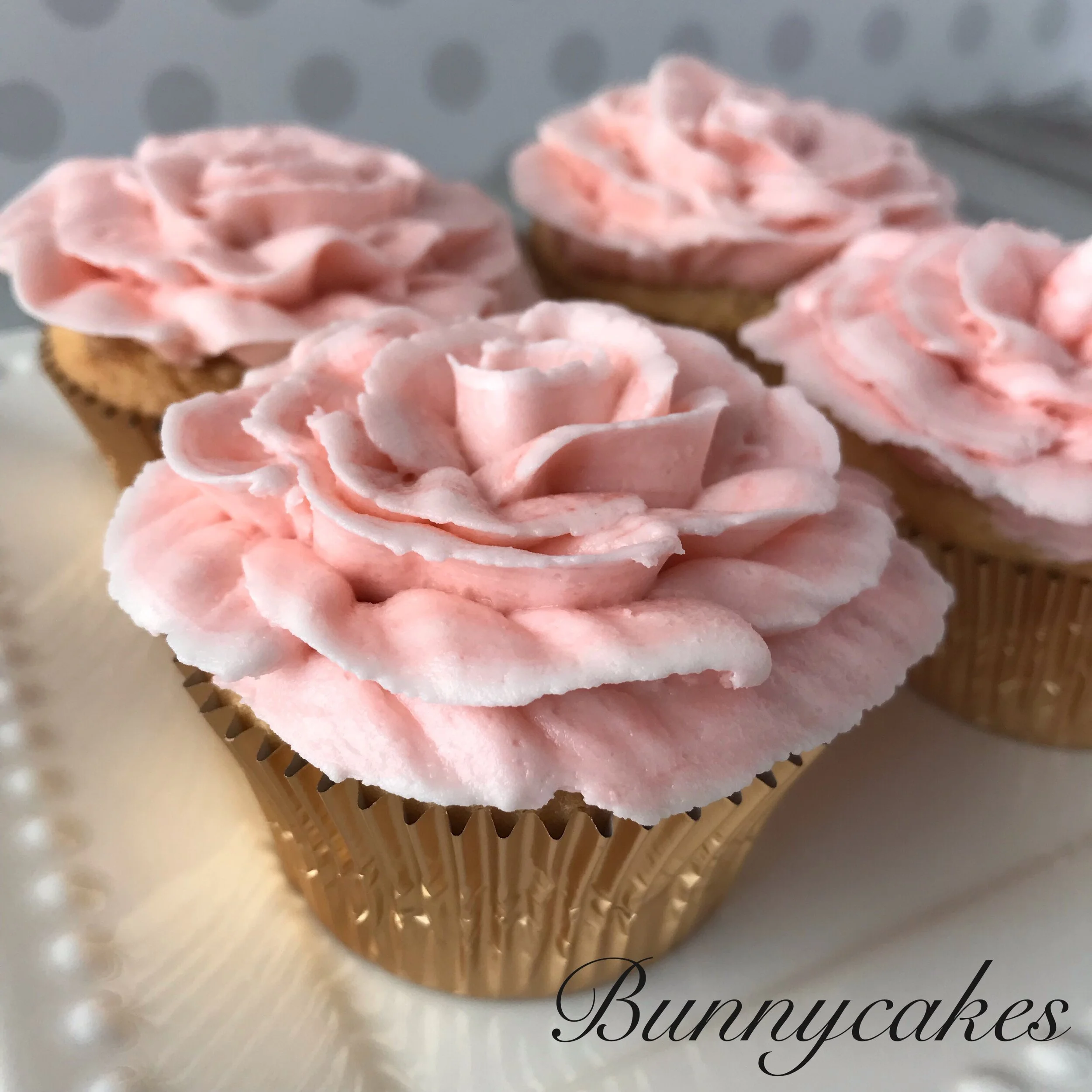 Watermarked3(2019-02-01-2155).jpg