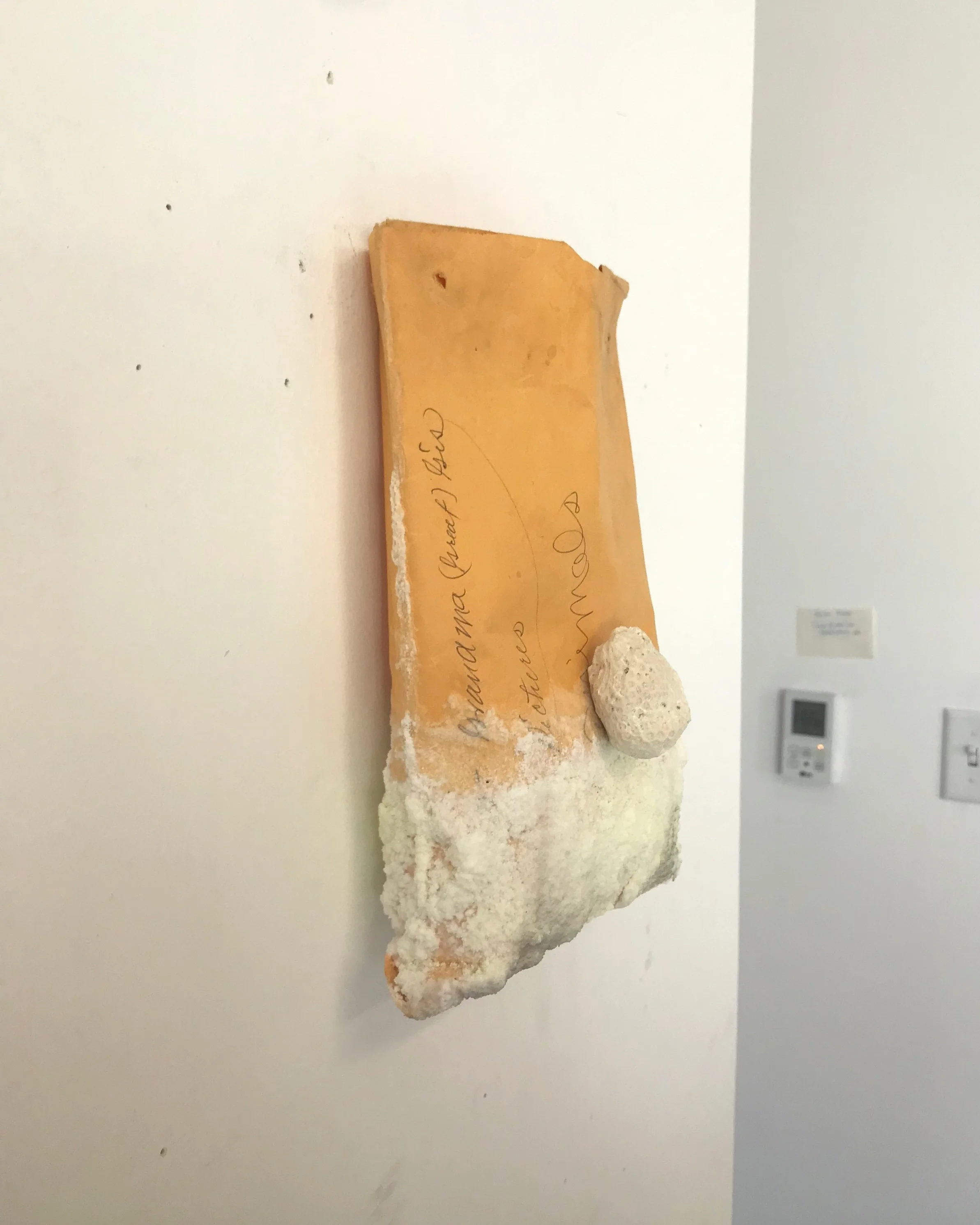 salt, dye, coral on found envelope, 2019