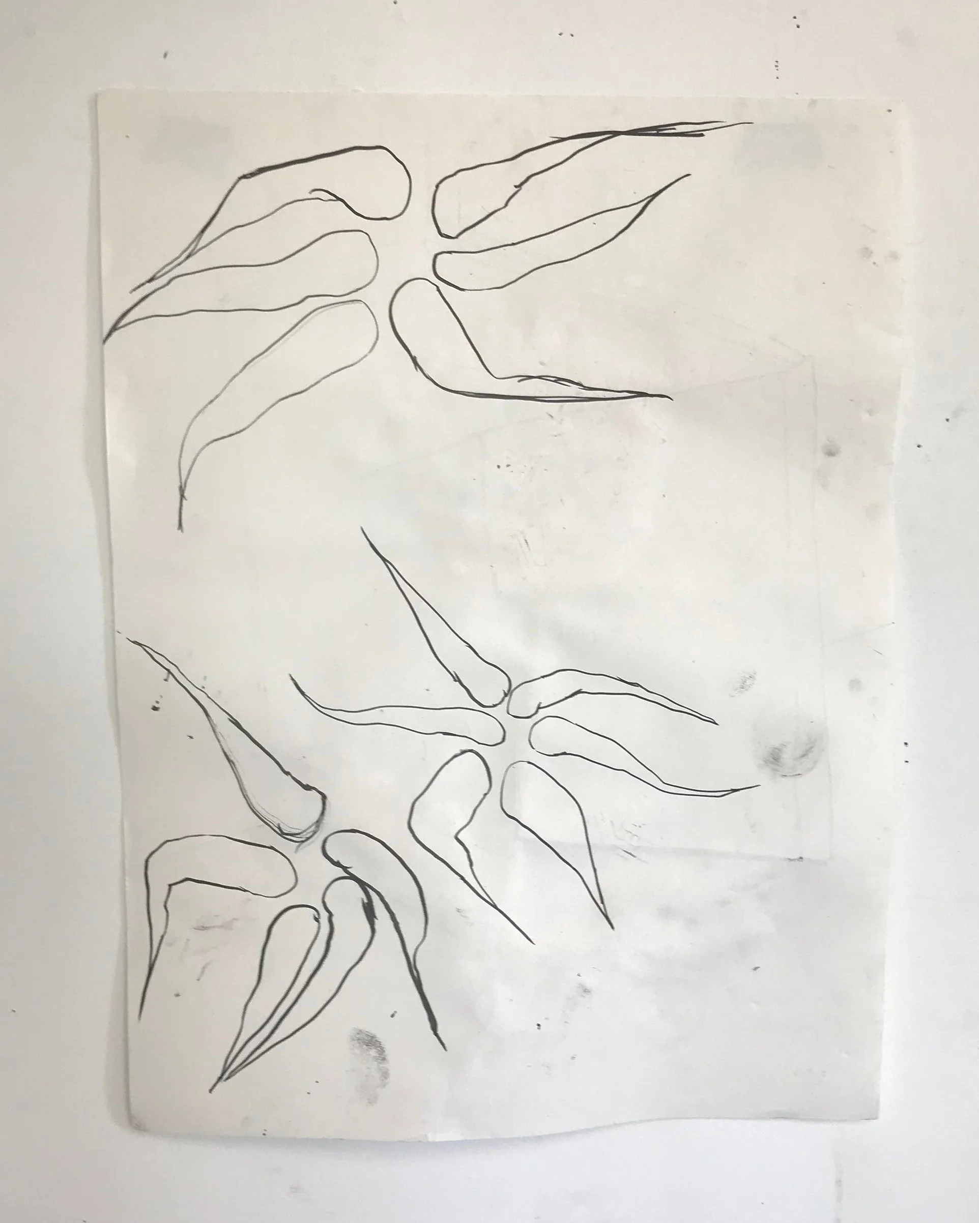 charcol on paper, 2019