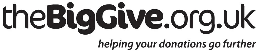 the-big-give-logo.jpg