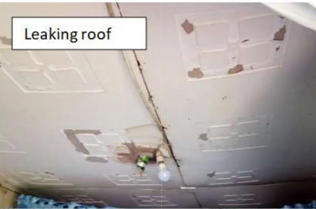 leaKING ROOF.jpg