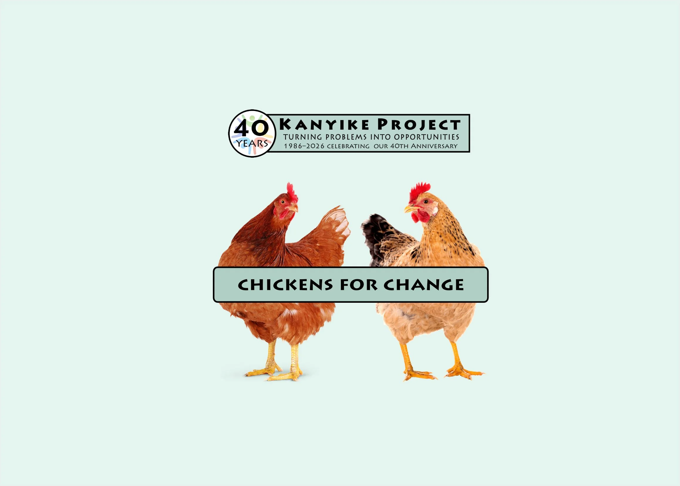 Chicken cover change.jpg