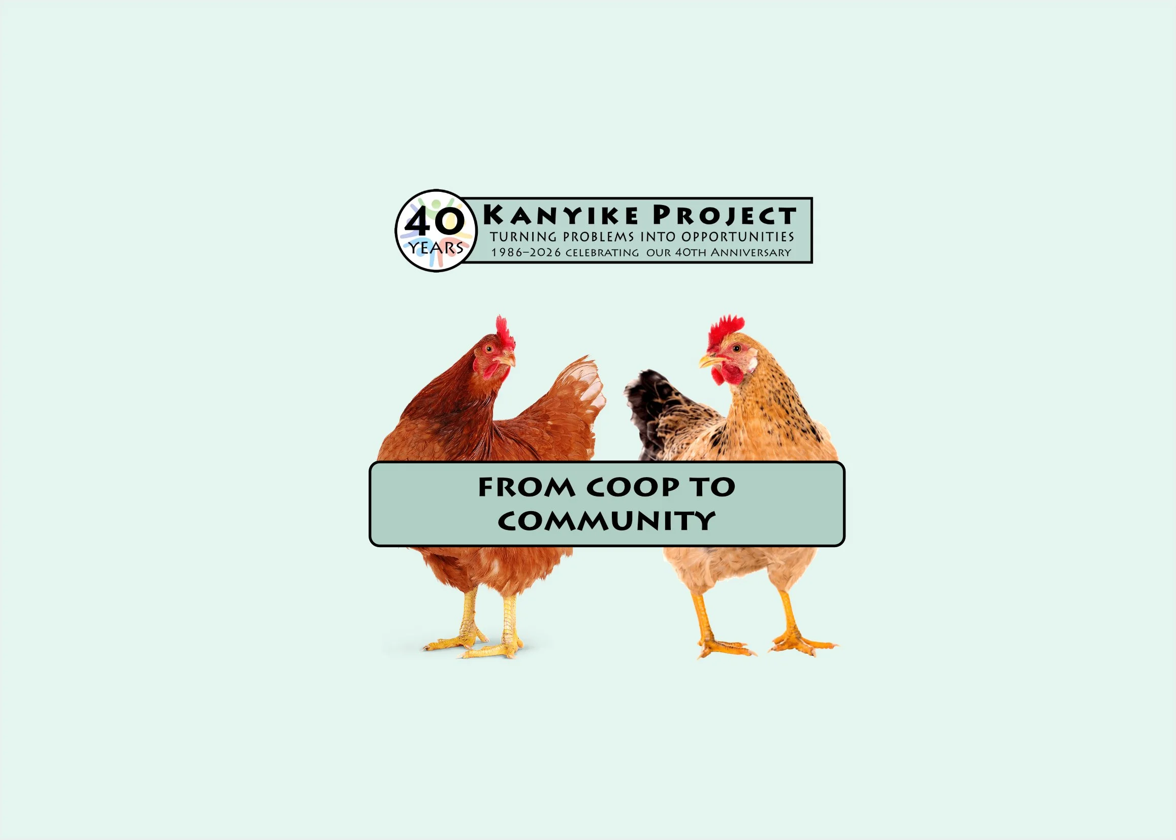 Chicken cover coop.jpg