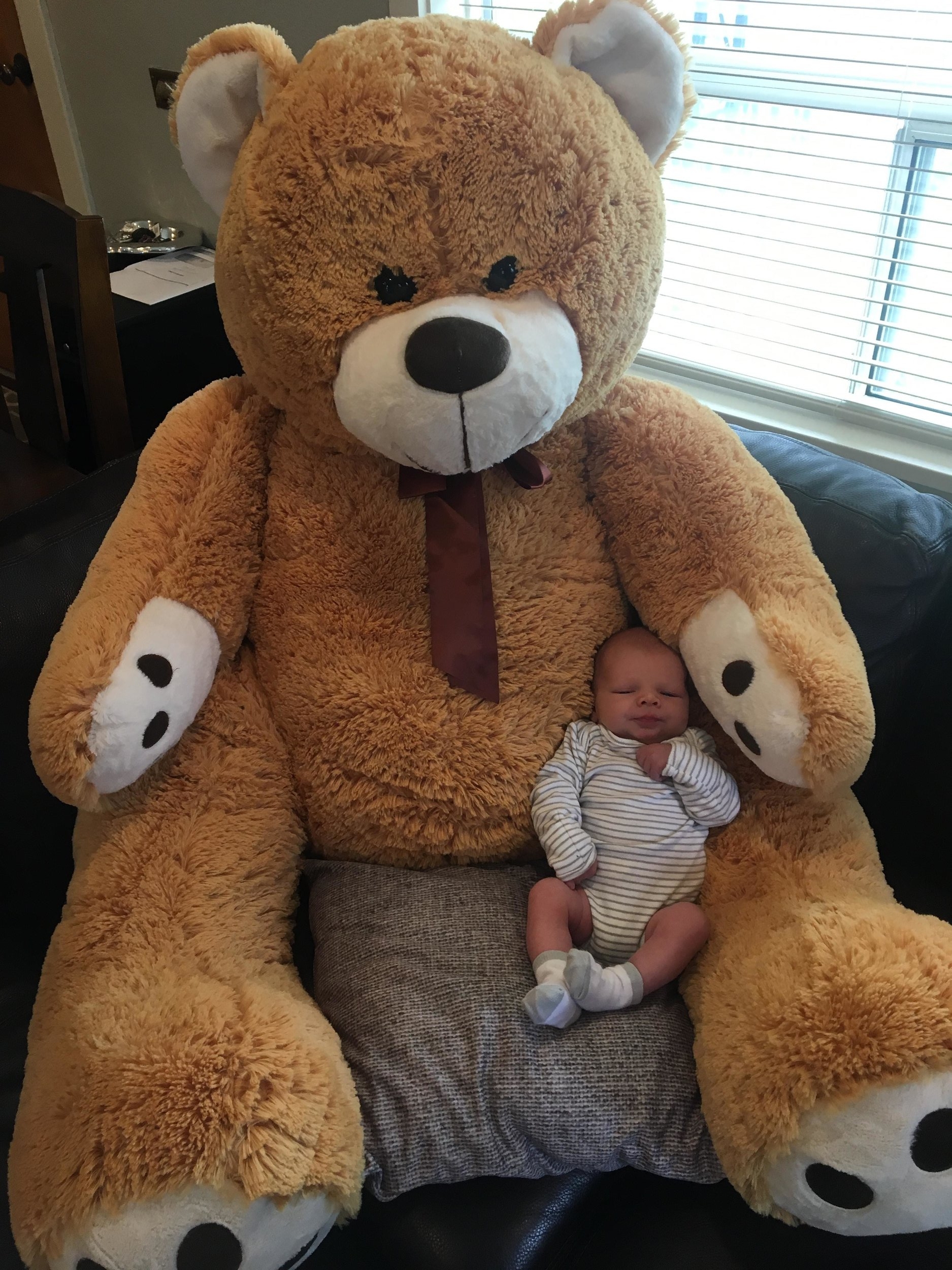 baby Haaken Harcourt Gardiner with giant teddy bear