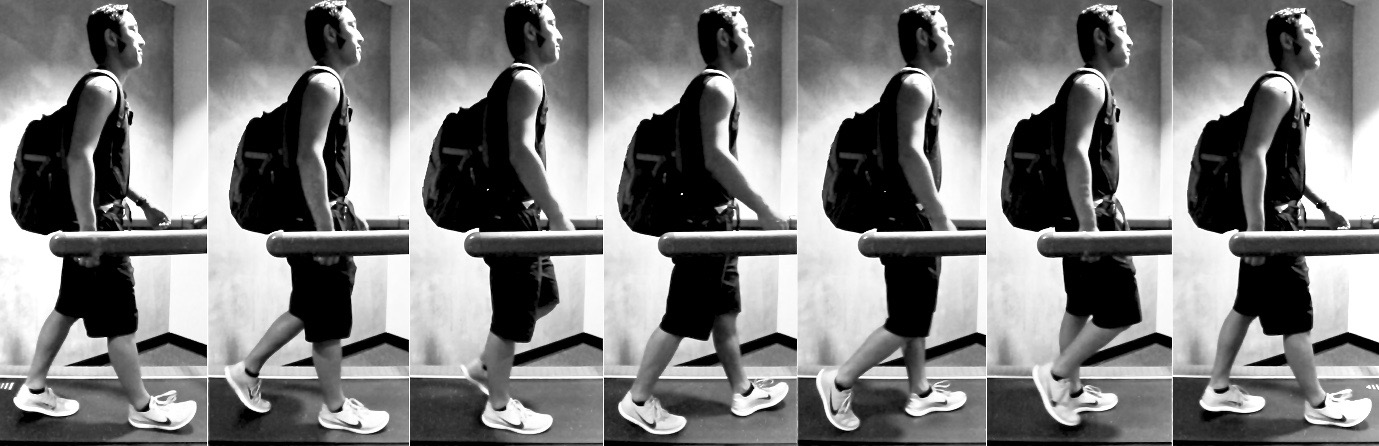 Human Biomechanics