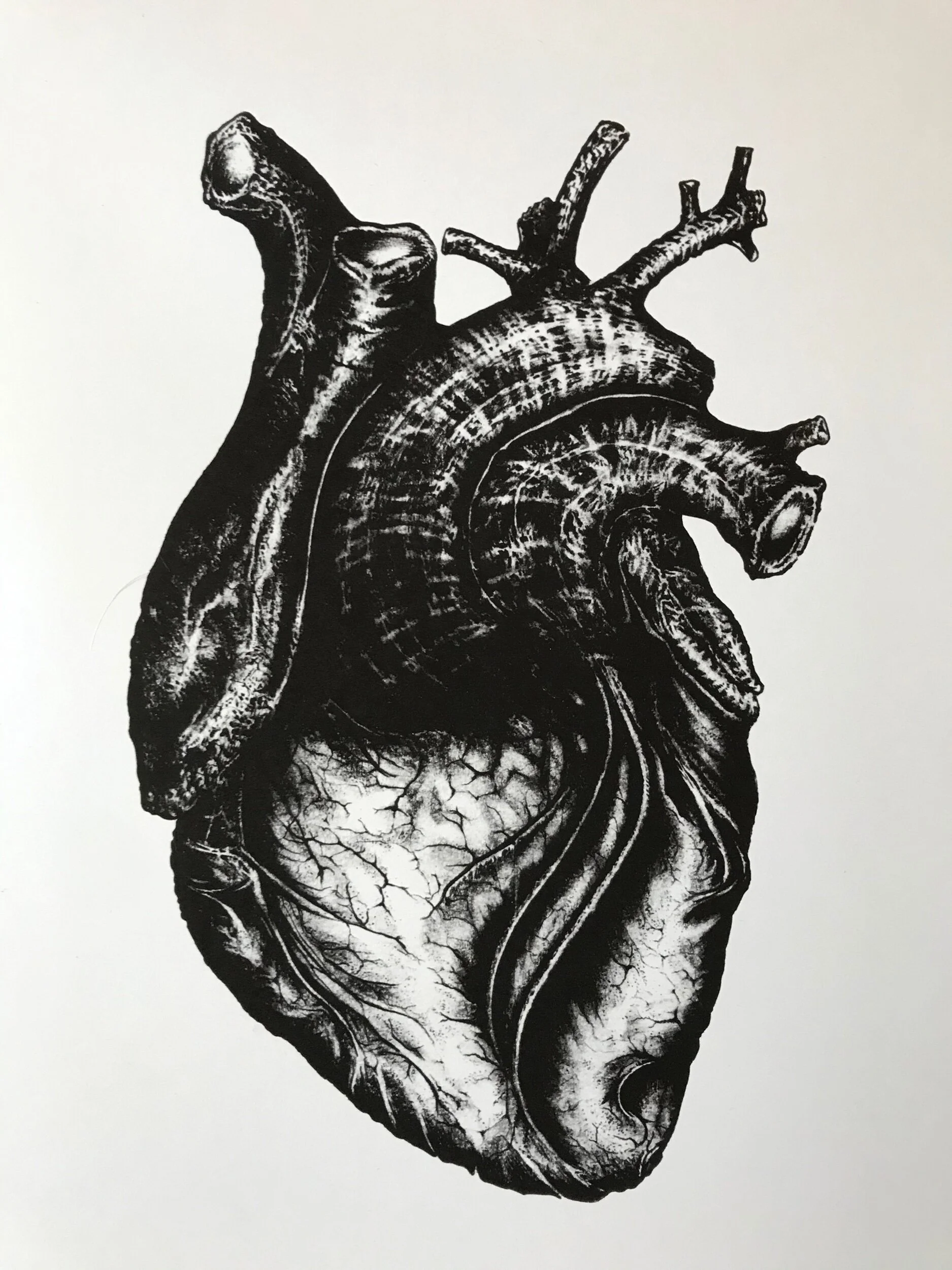 192993D9-68B4-4F9F-B292-C3175AA7A021