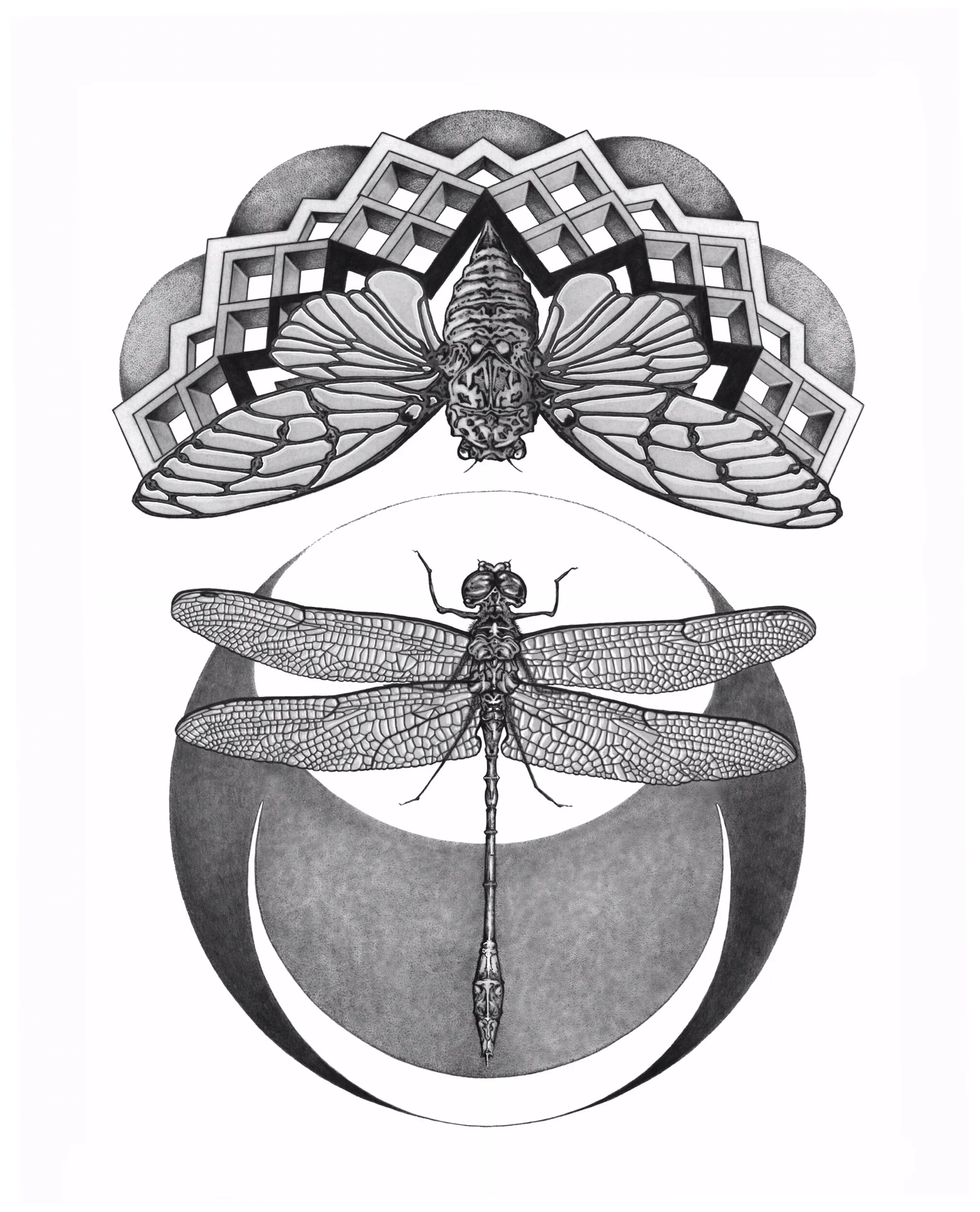 0DF82FF7-28A4-4193-8475-AD774A828E35