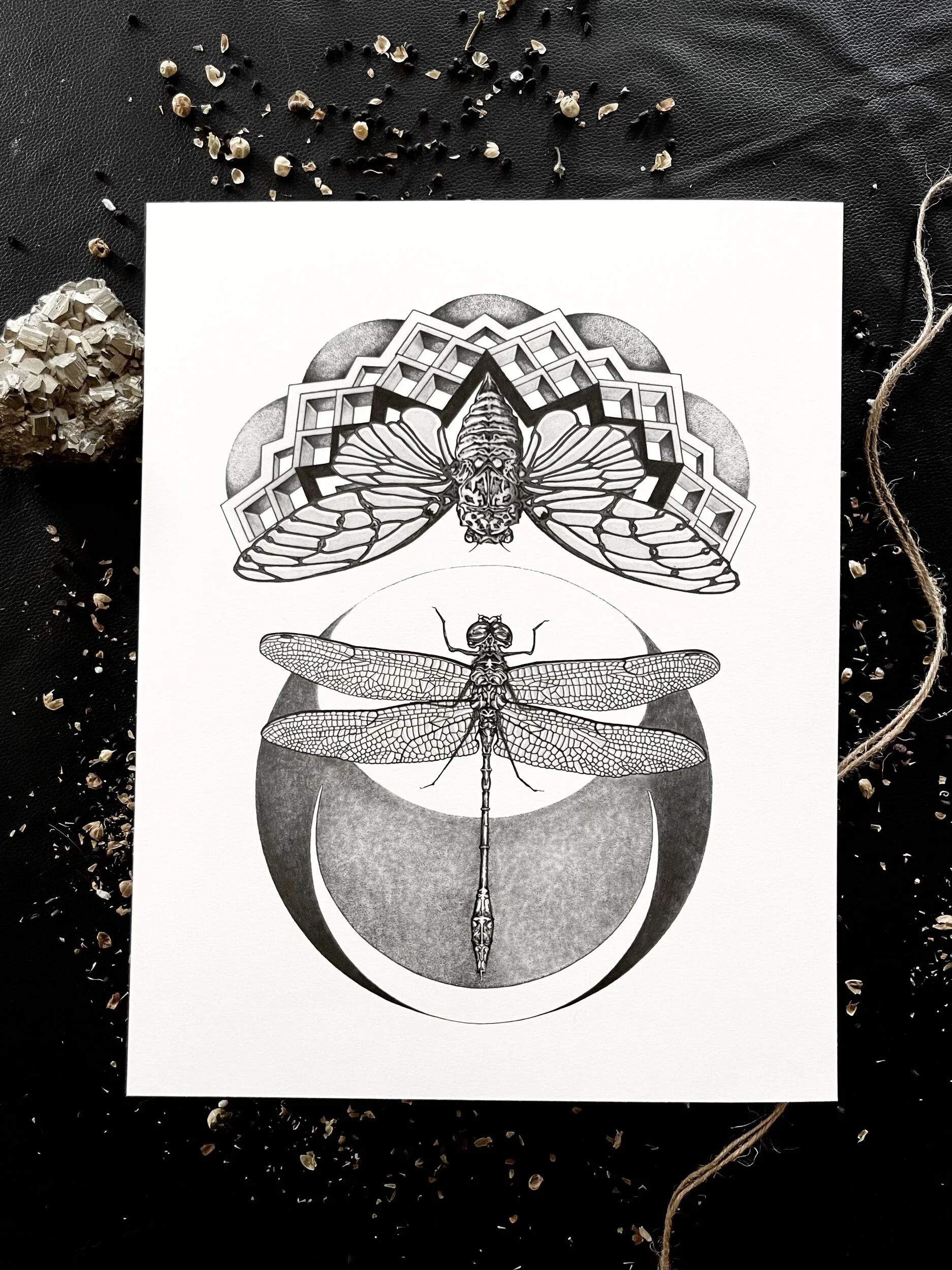 CA3DBDA1-2B8F-4BA7-80BE-6F787F575831