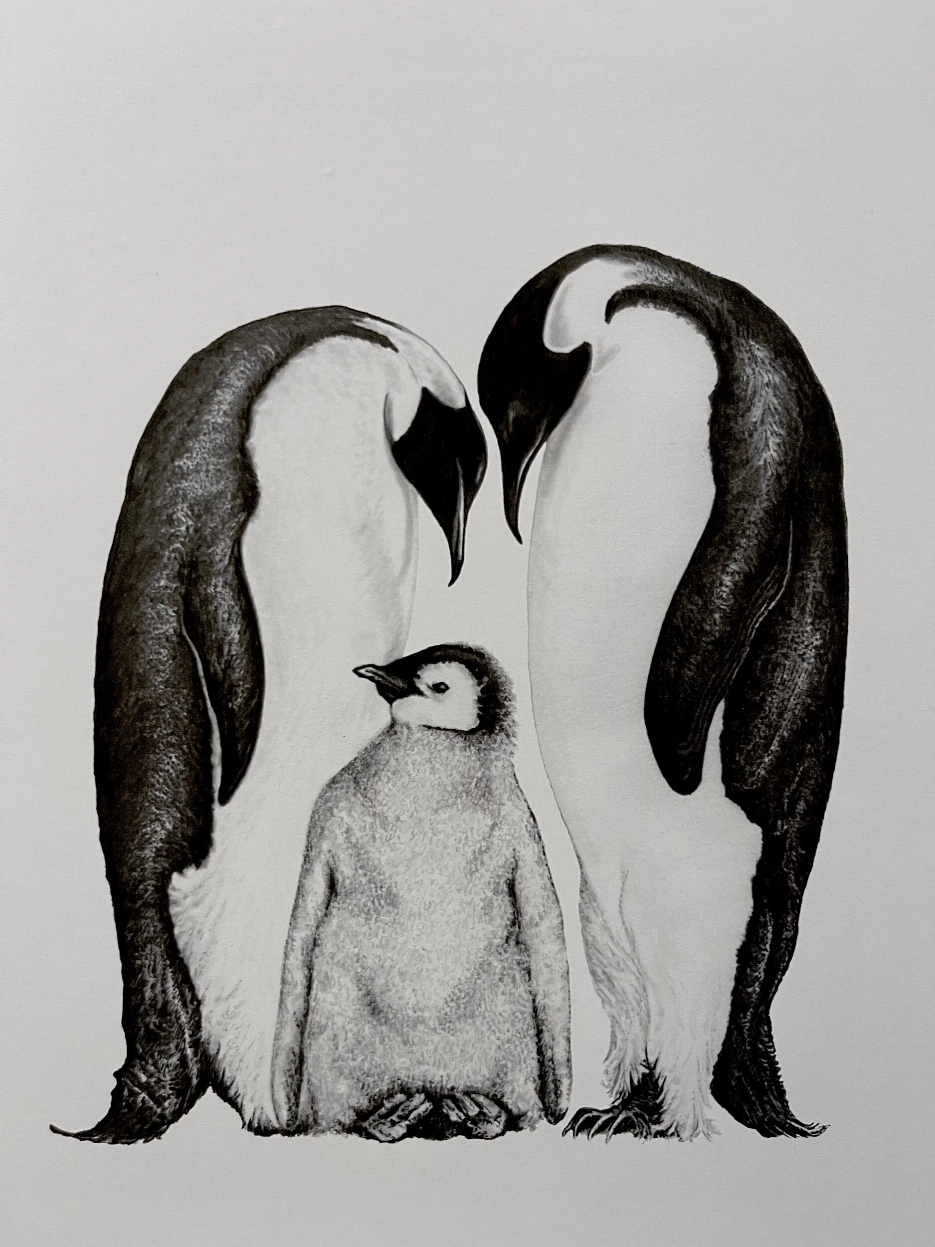 EAE7EFA4-C87C-4546-95A2-AC63E56013E1