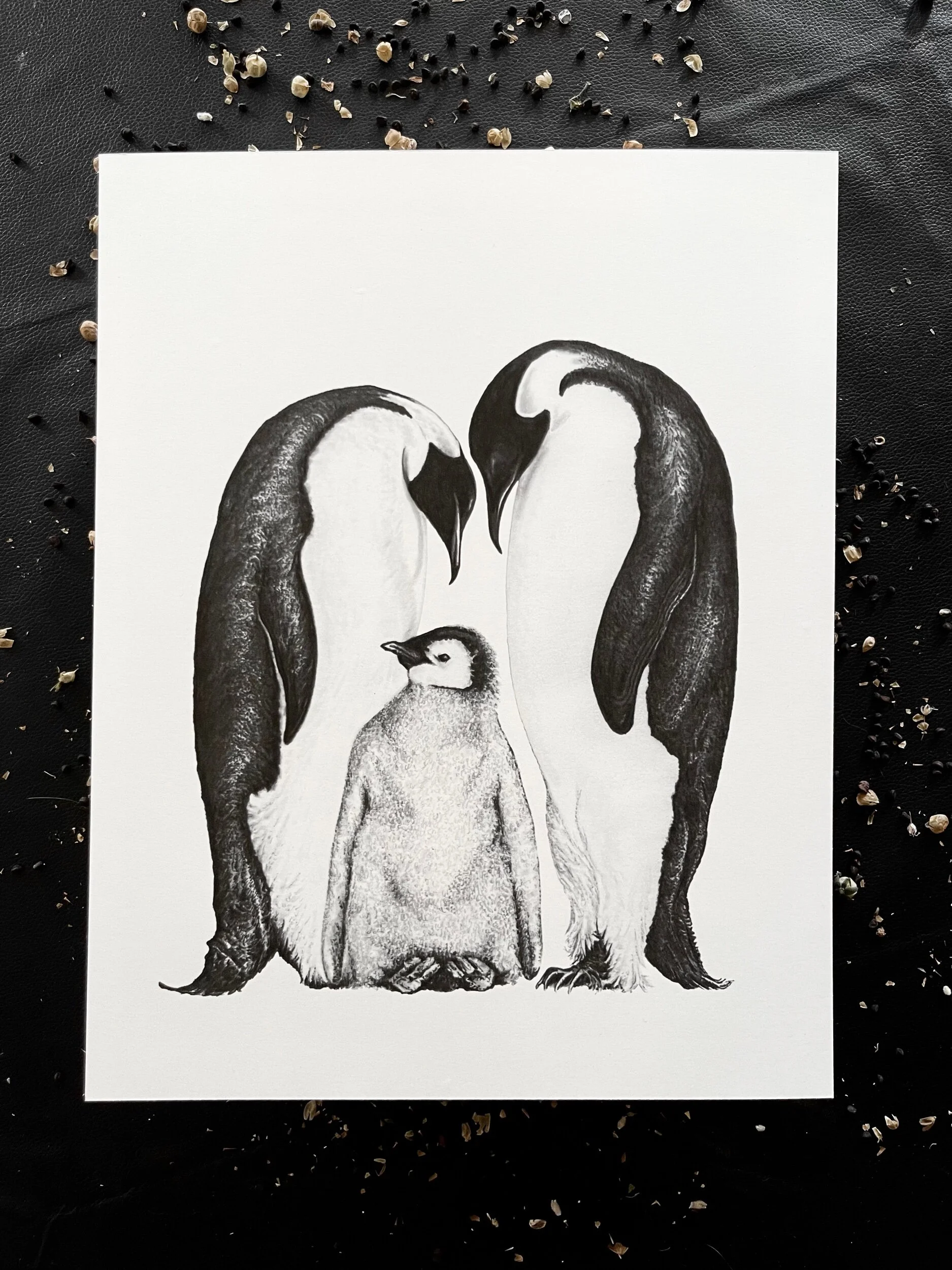 45192963-D4AF-4123-AB0D-2A9F820BBD5E