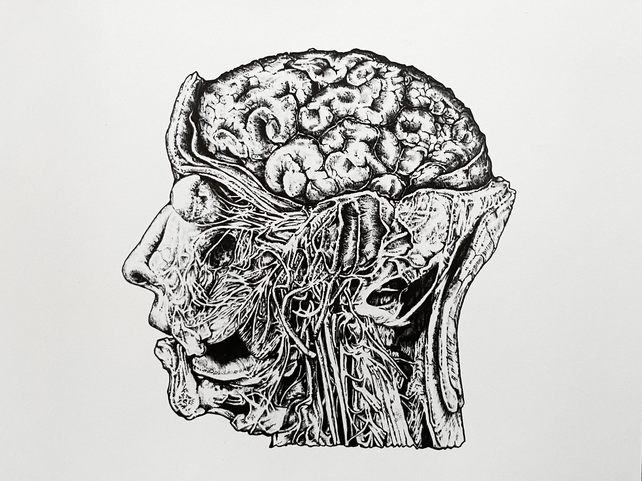 E5E186BF-CCCD-4100-BCA0-CF27D77483B2